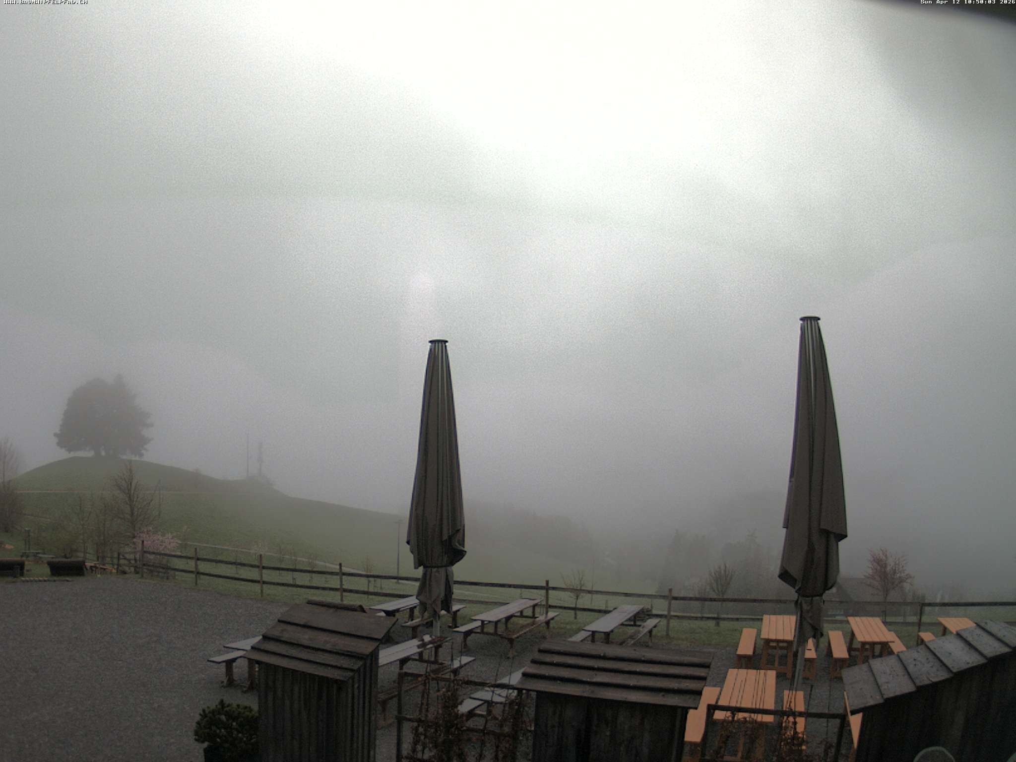 Archived image Webcam Treetop Walk Neckertal