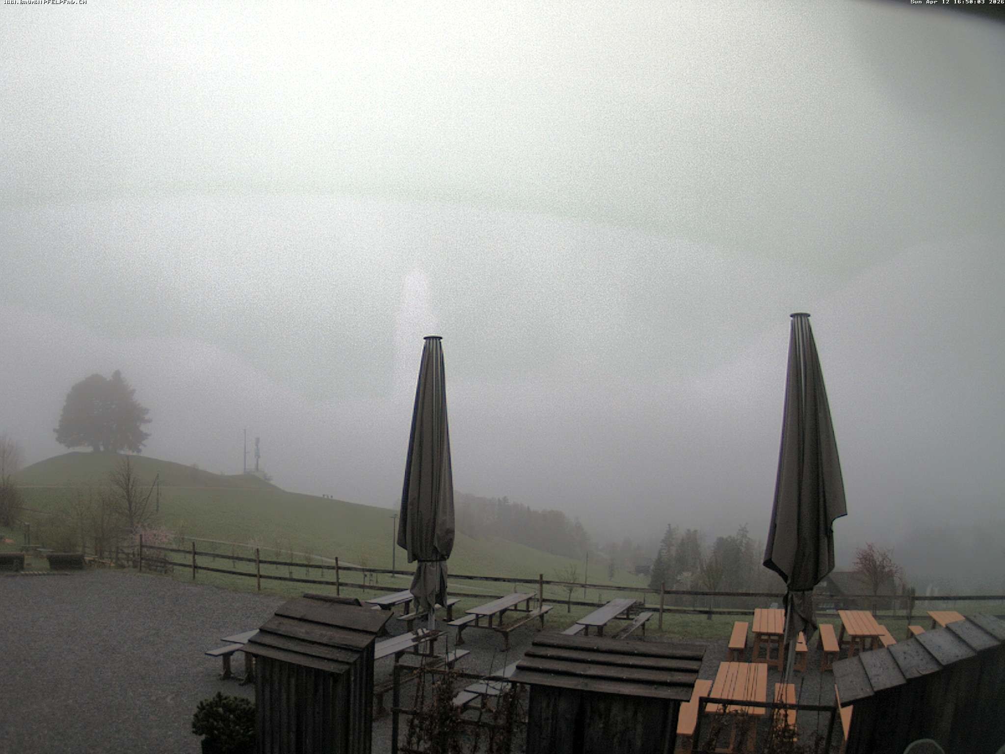 Archived image Webcam Treetop Walk Neckertal