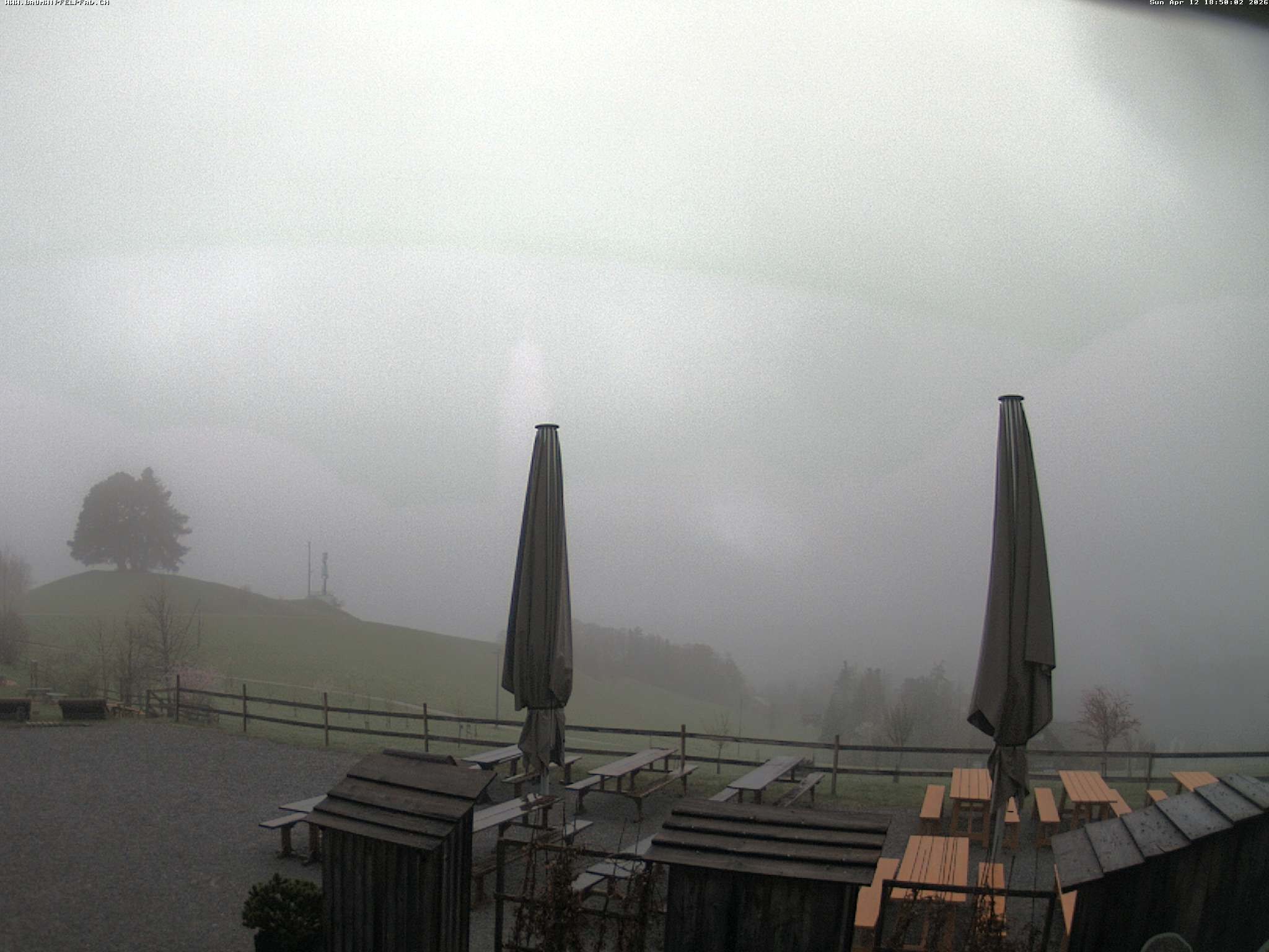 Archived image Webcam Treetop Walk Neckertal