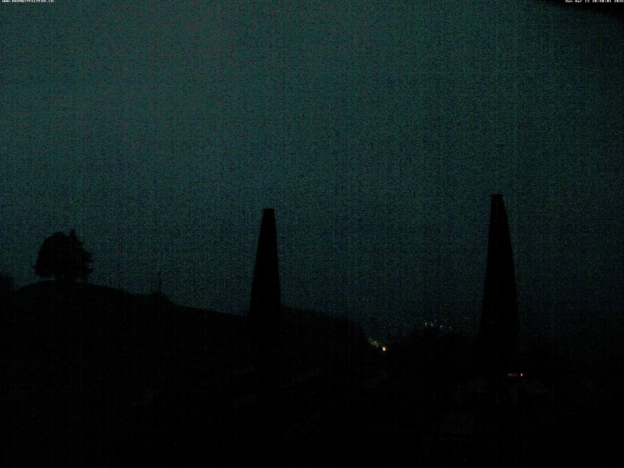 Archived image Webcam Treetop Walk Neckertal