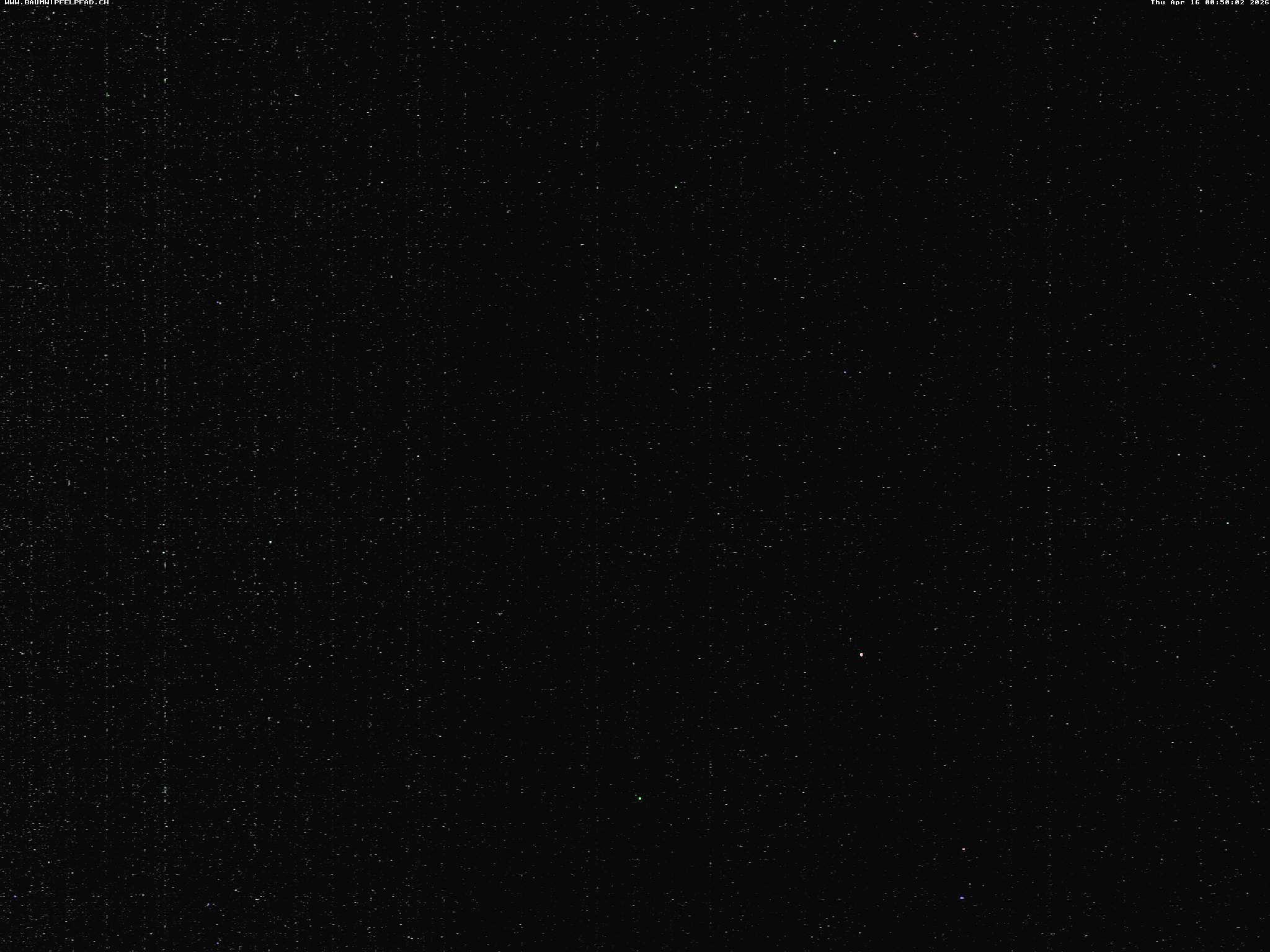 Archived image Webcam Treetop Walk Neckertal