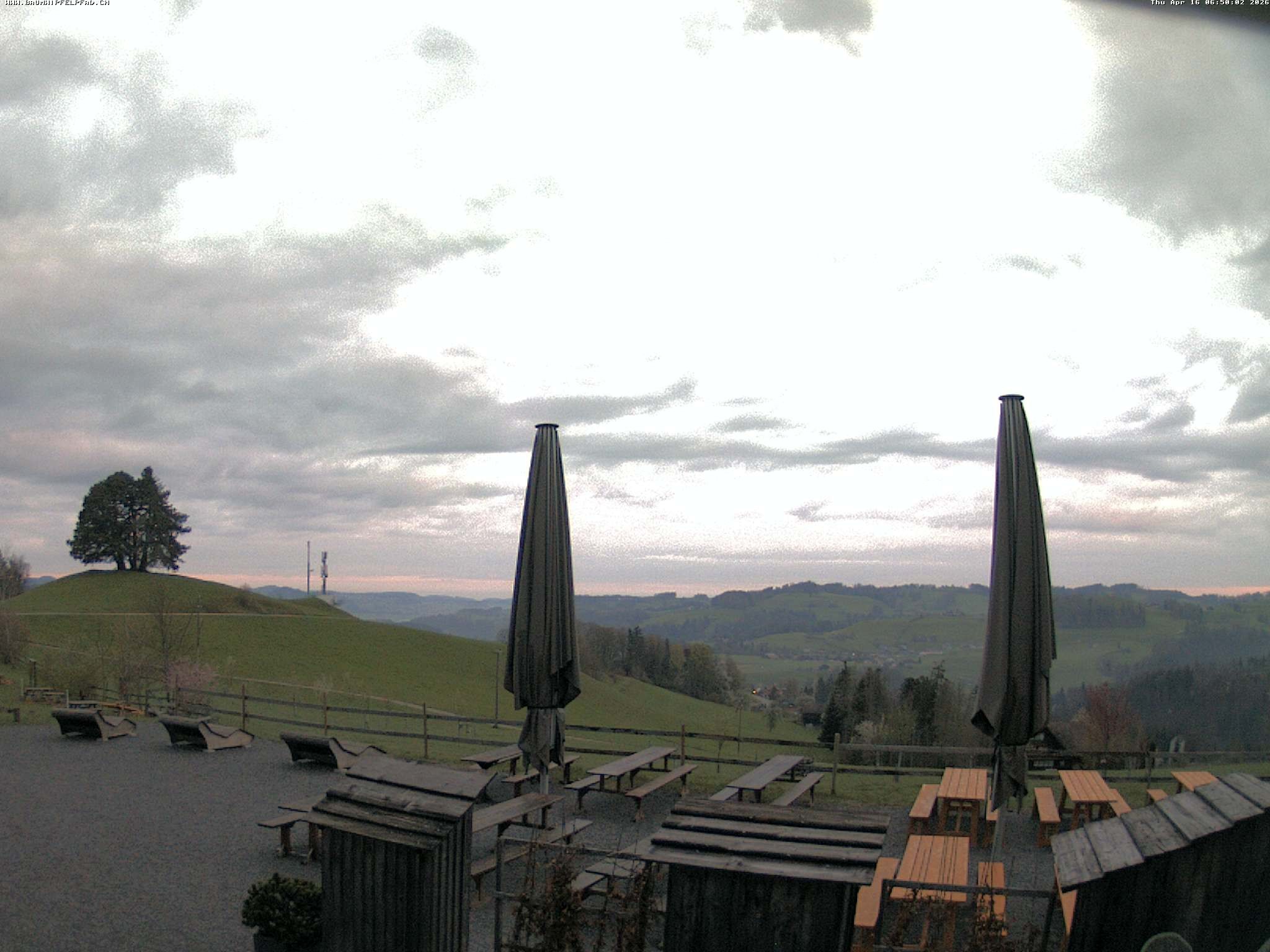 Archived image Webcam Treetop Walk Neckertal