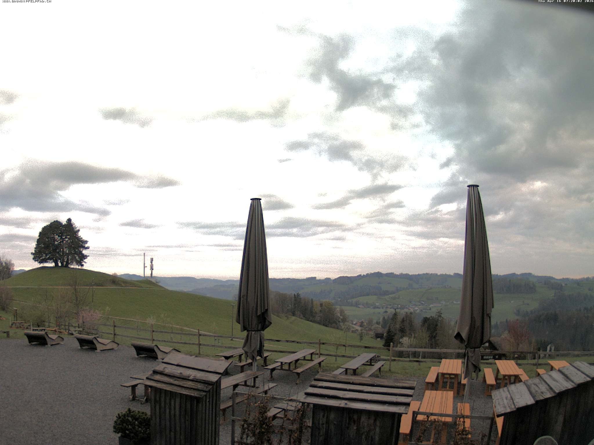 Archived image Webcam Treetop Walk Neckertal