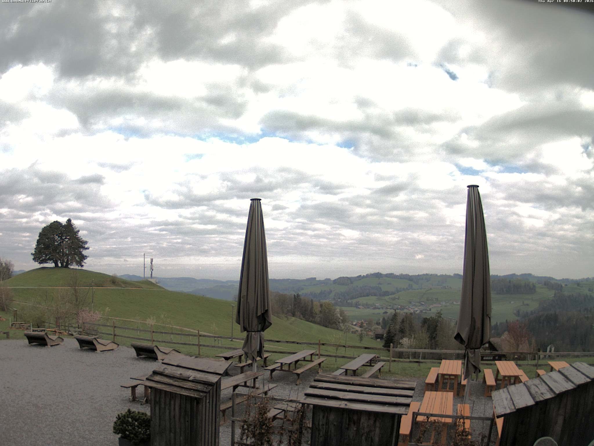 Archived image Webcam Treetop Walk Neckertal