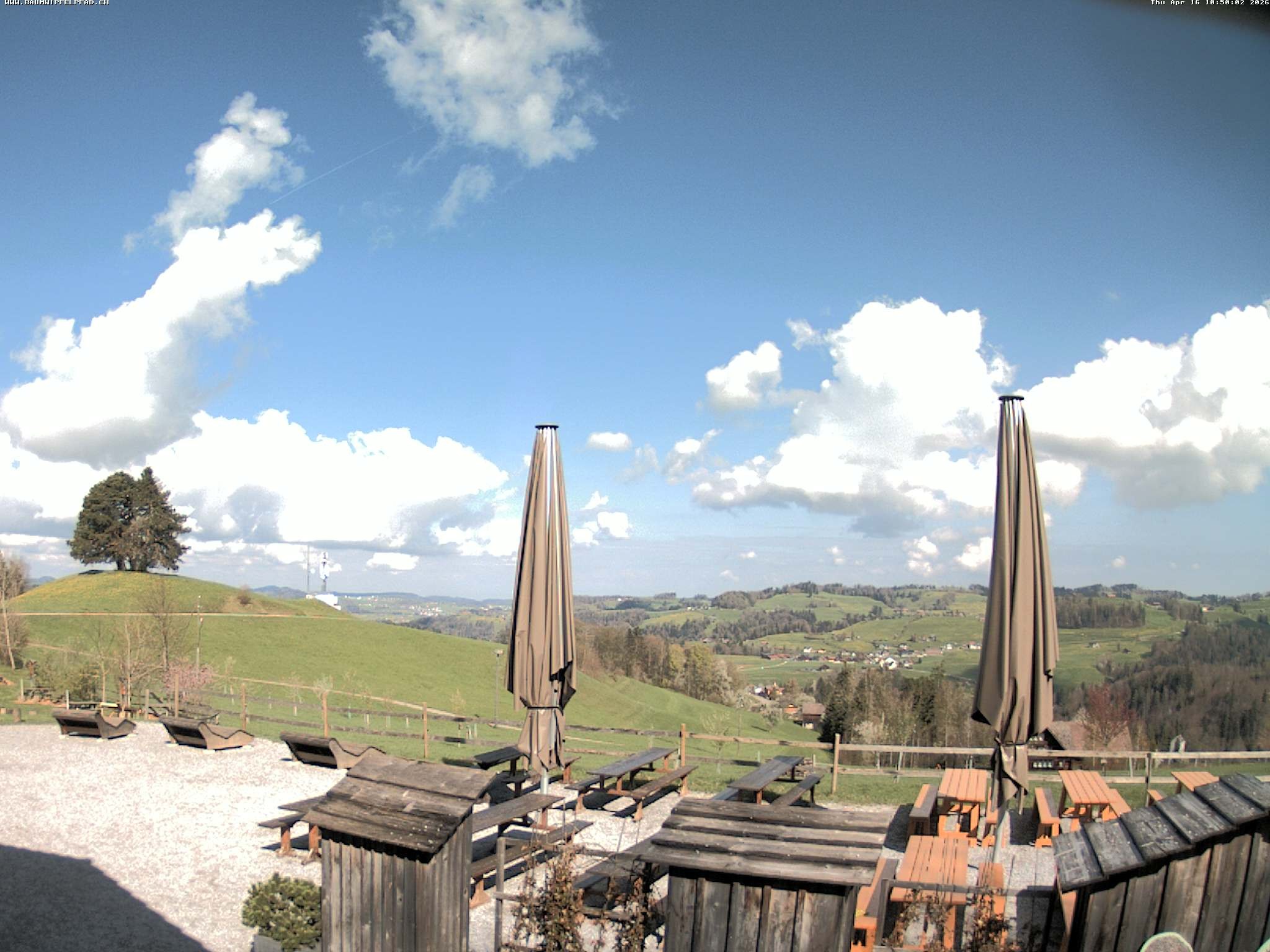 Archived image Webcam Treetop Walk Neckertal