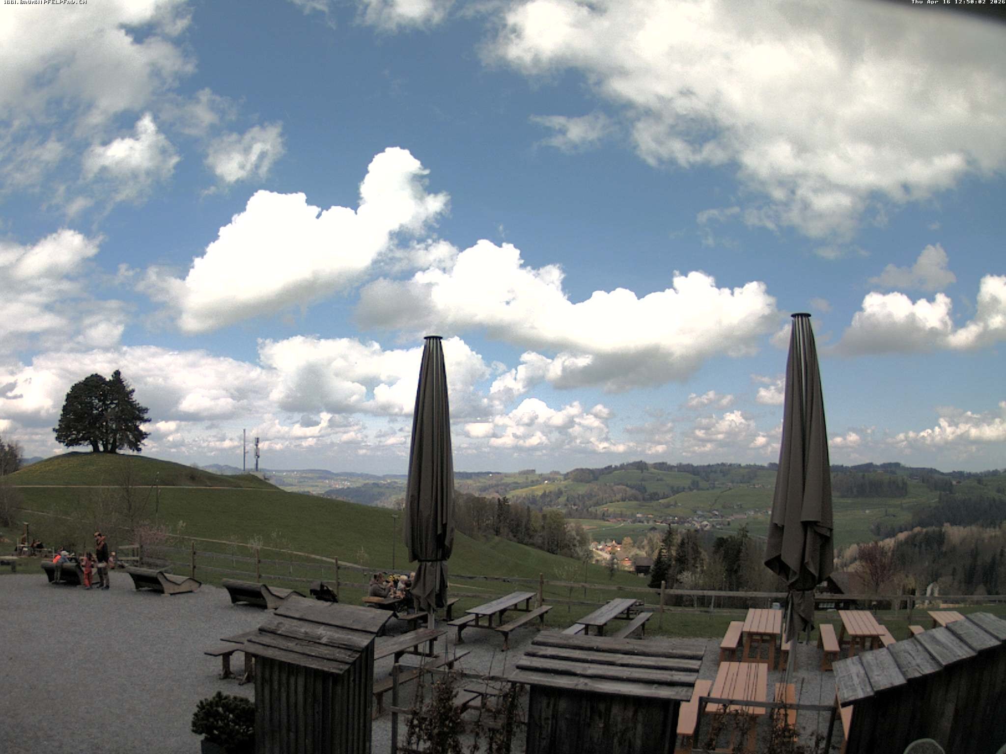 Archived image Webcam Treetop Walk Neckertal