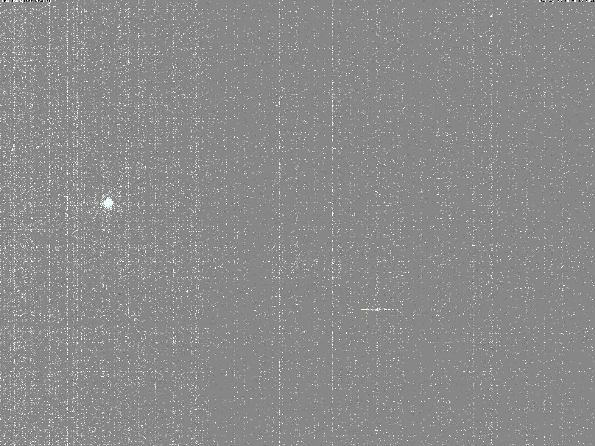 Archived image Webcam Treetop Walk Neckertal