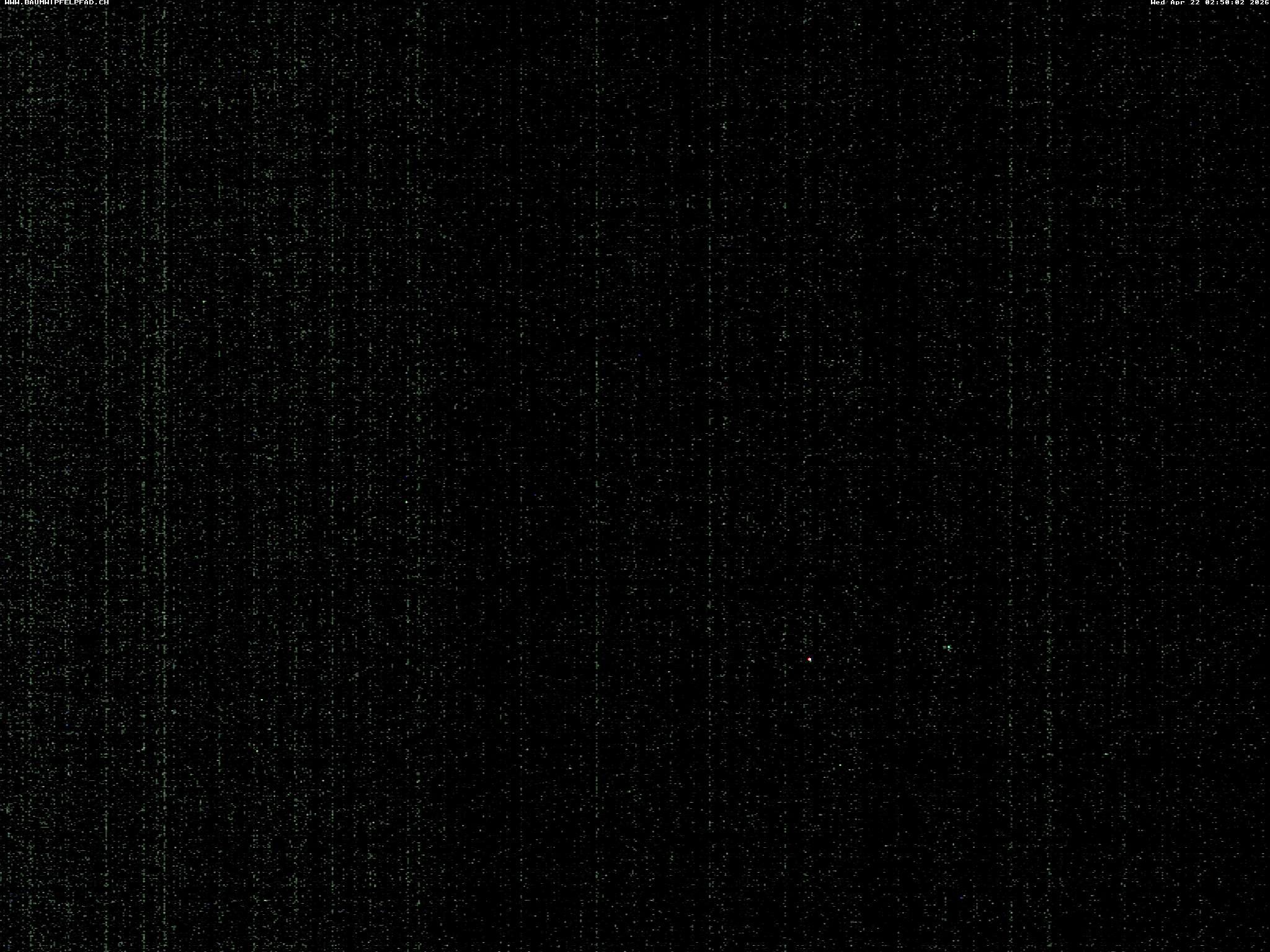 Archived image Webcam Treetop Walk Neckertal