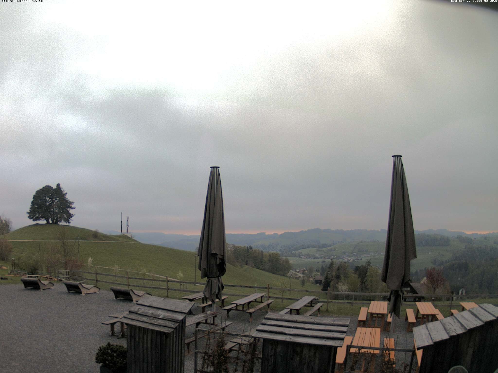 Archived image Webcam Treetop Walk Neckertal