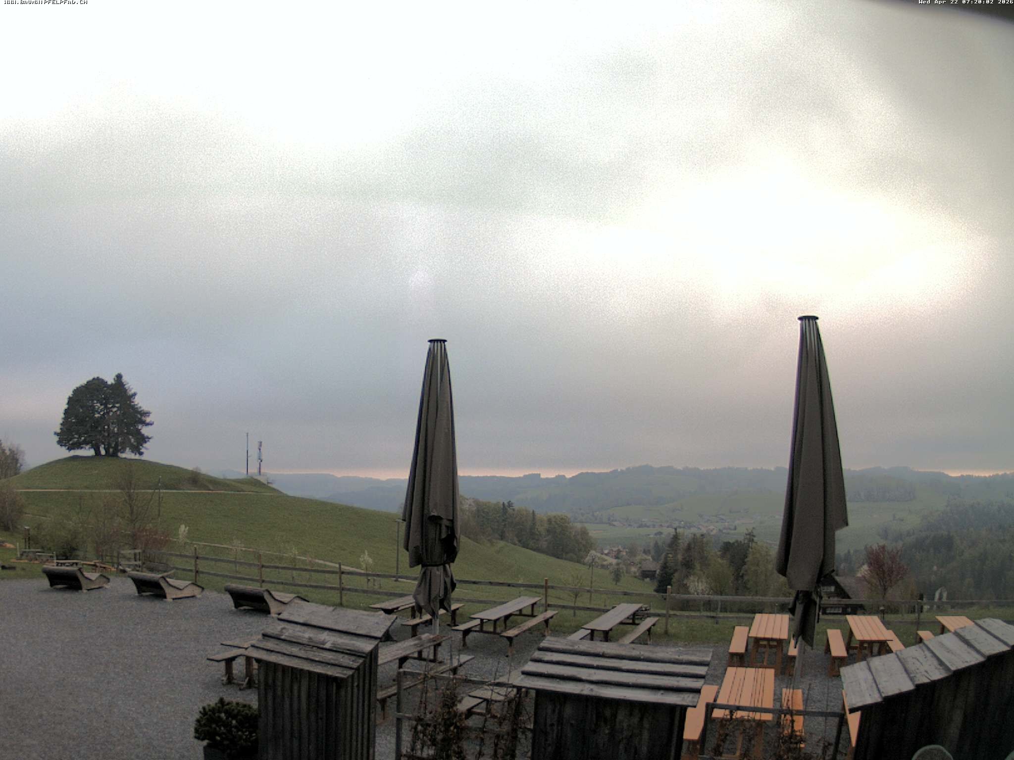 Archived image Webcam Treetop Walk Neckertal