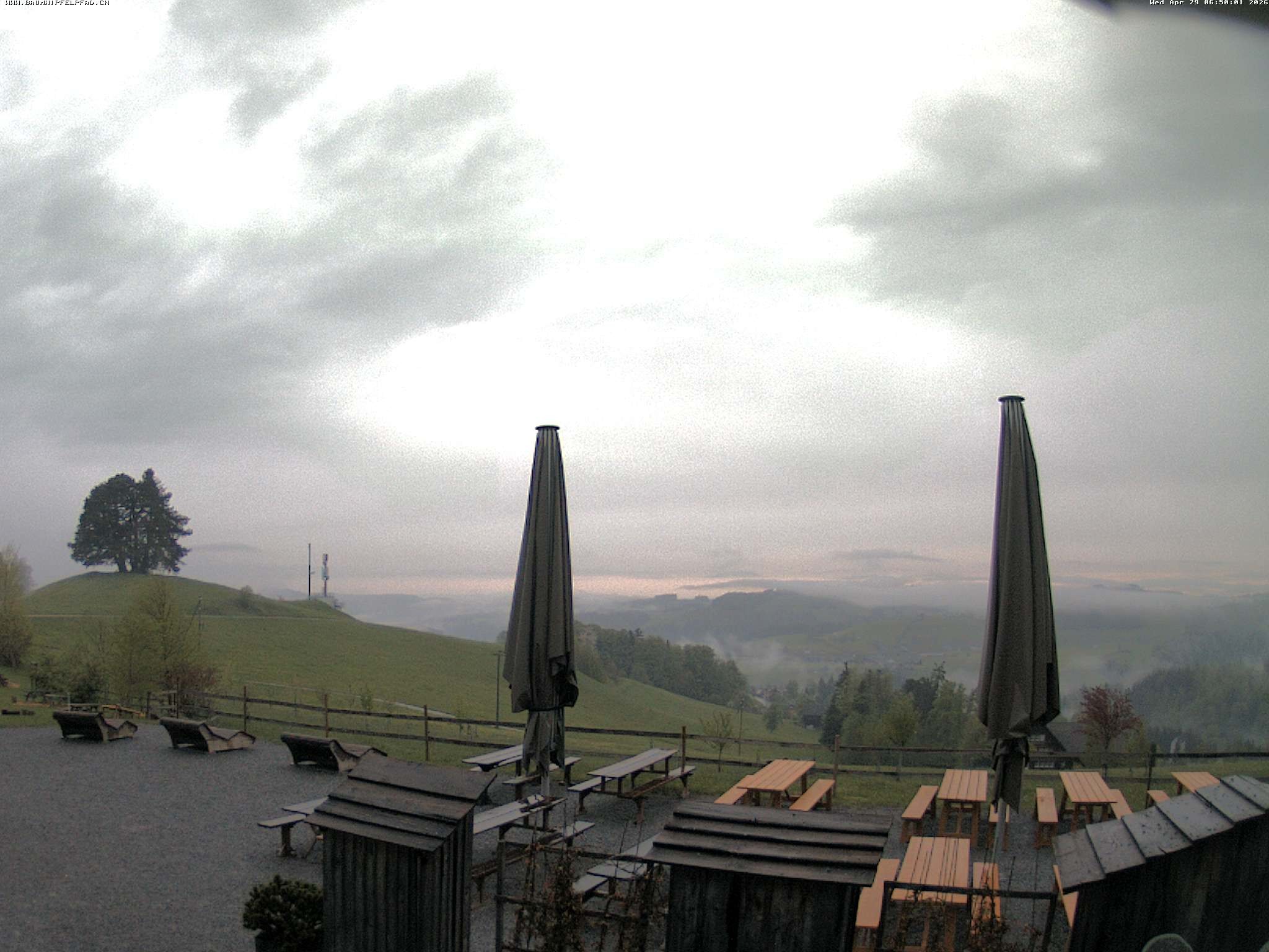 Archiv Foto Webcam Baumwipfelpfad Neckertal