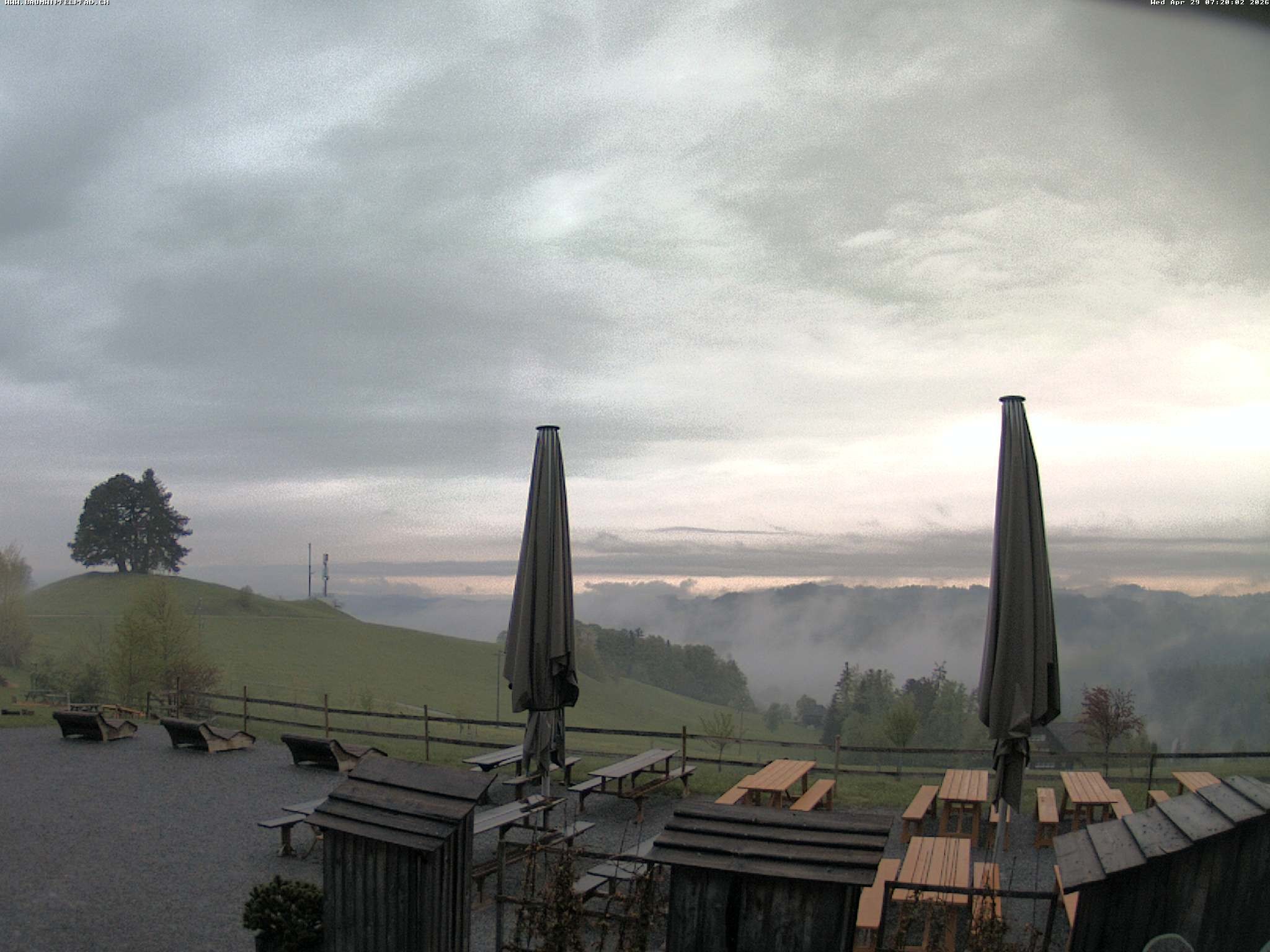 Archiv Foto Webcam Baumwipfelpfad Neckertal