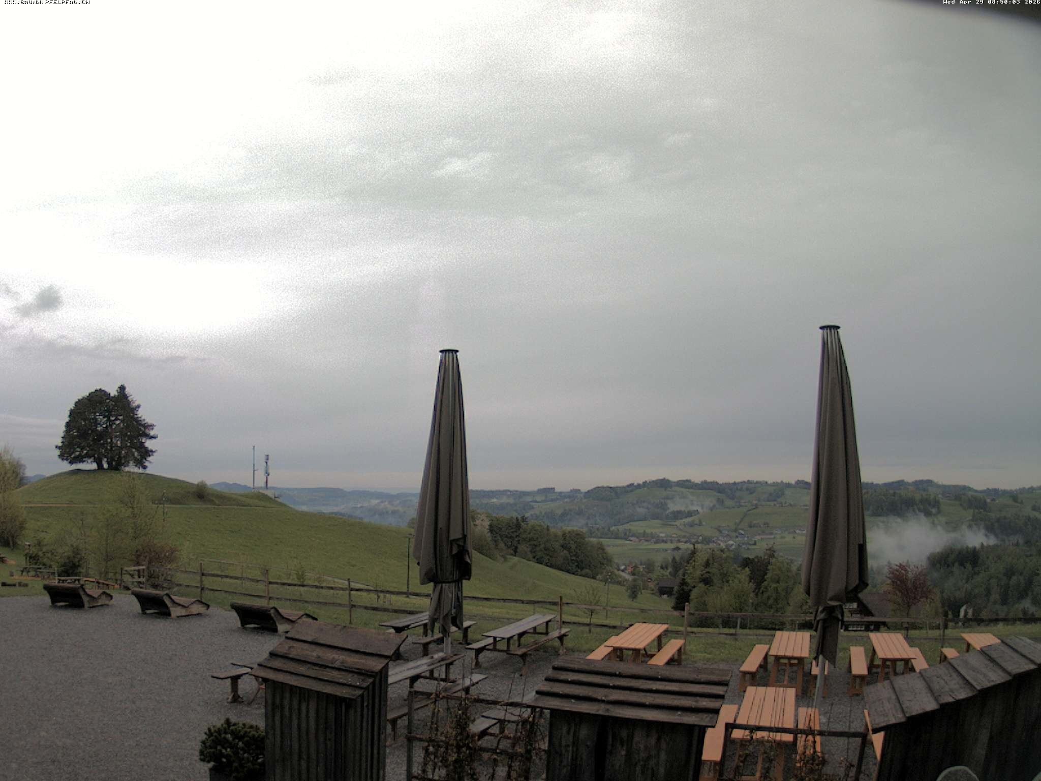 Archiv Foto Webcam Baumwipfelpfad Neckertal