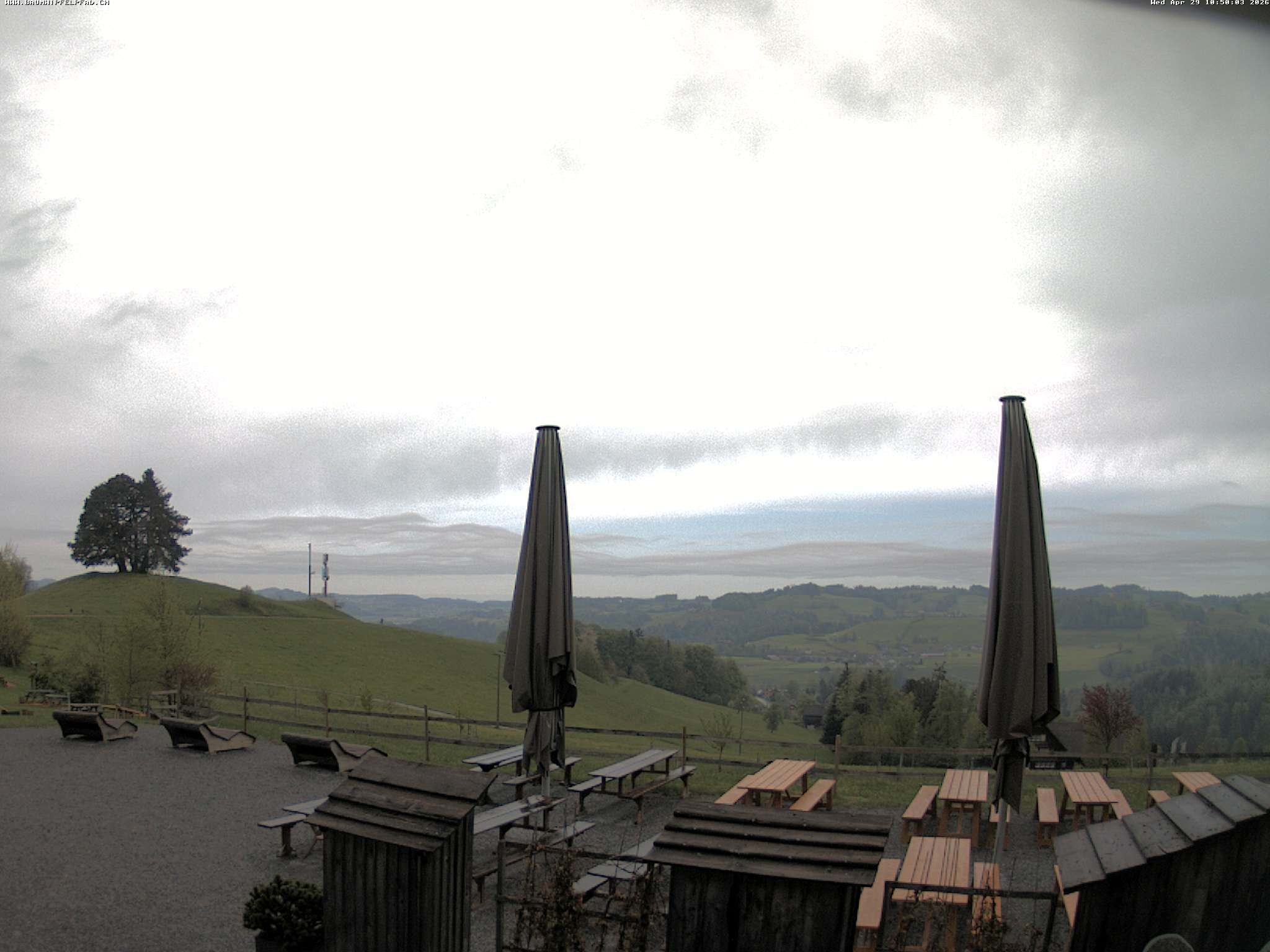 Archiv Foto Webcam Baumwipfelpfad Neckertal