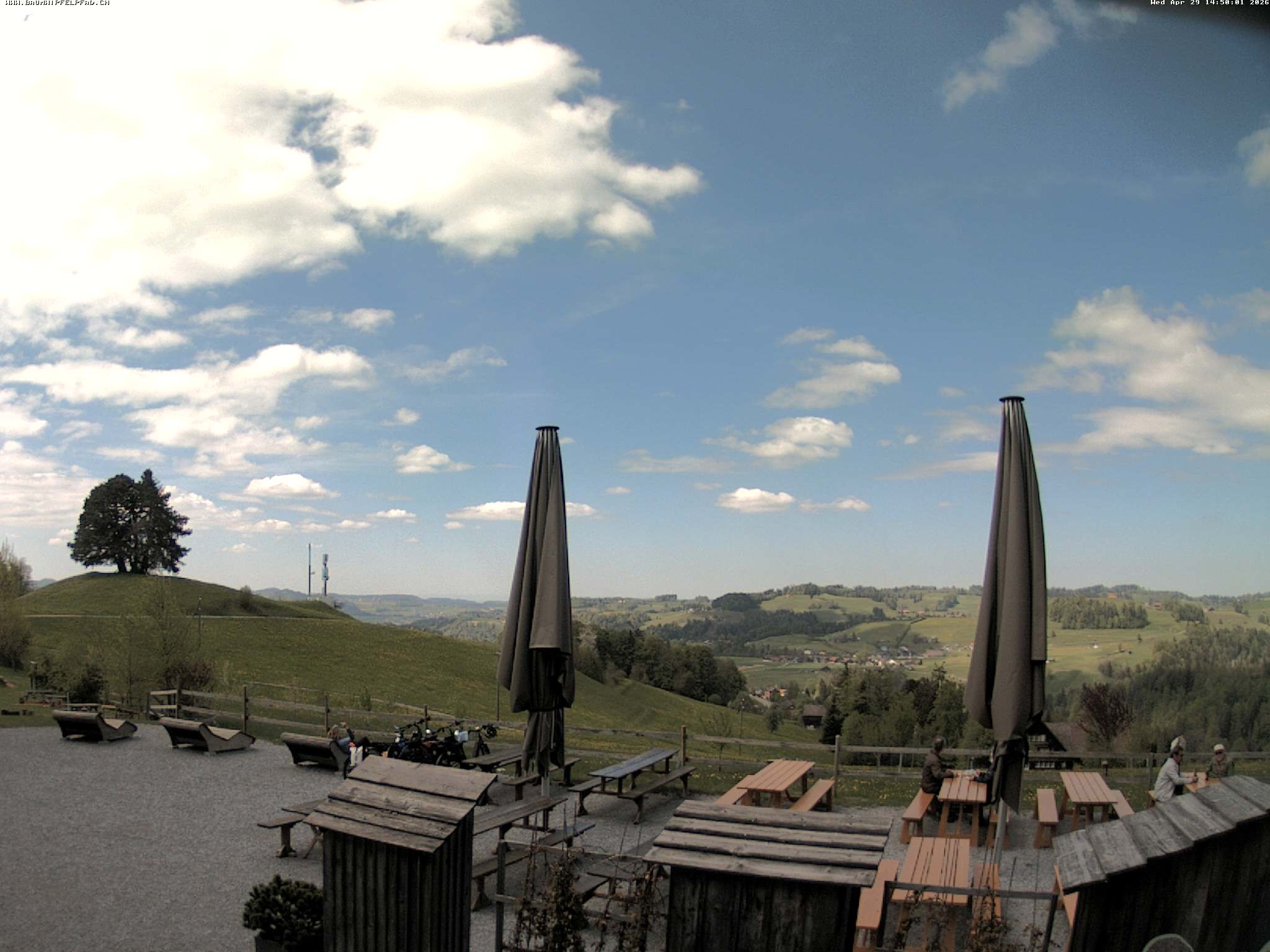 Archiv Foto Webcam Baumwipfelpfad Neckertal