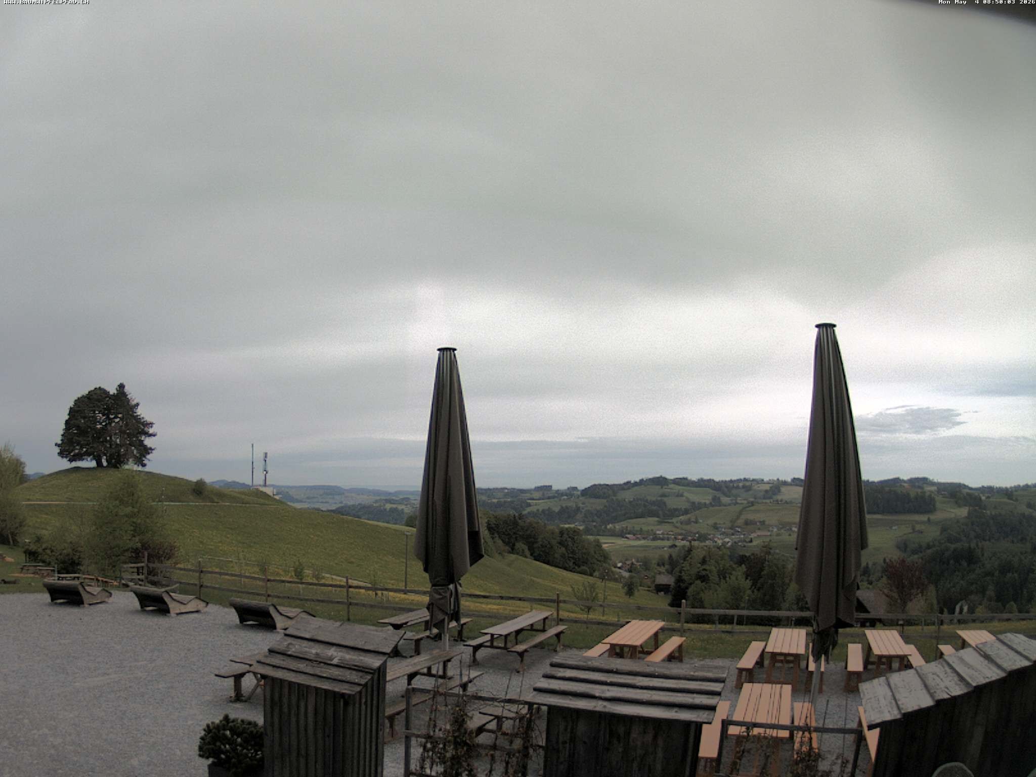 Archiv Foto Webcam Baumwipfelpfad Neckertal