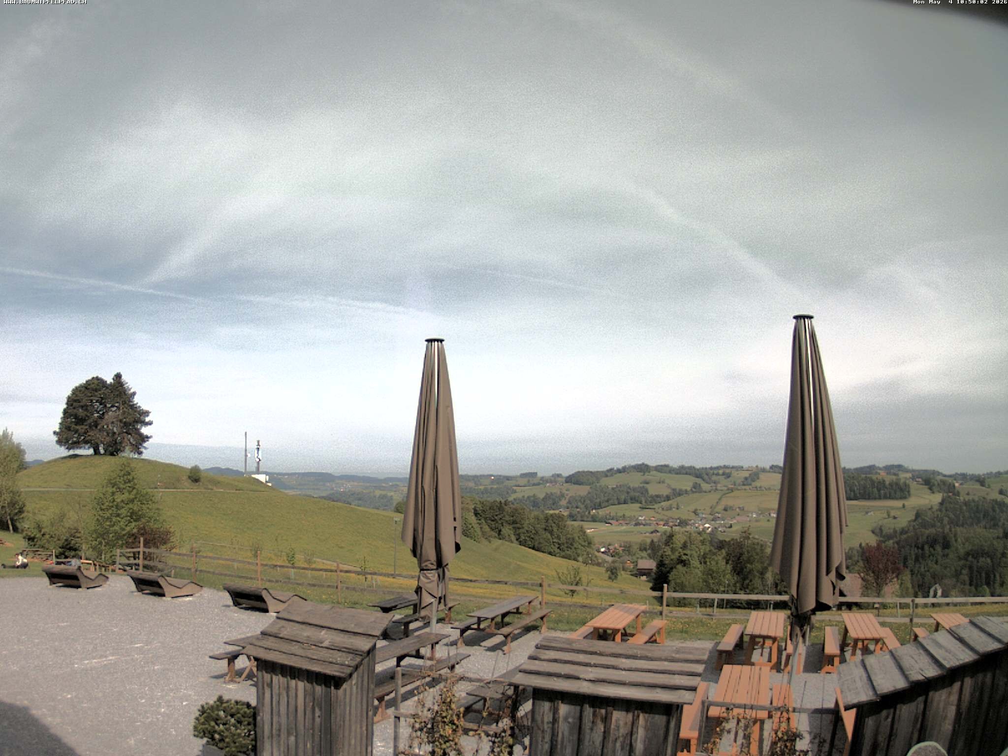 Archiv Foto Webcam Baumwipfelpfad Neckertal