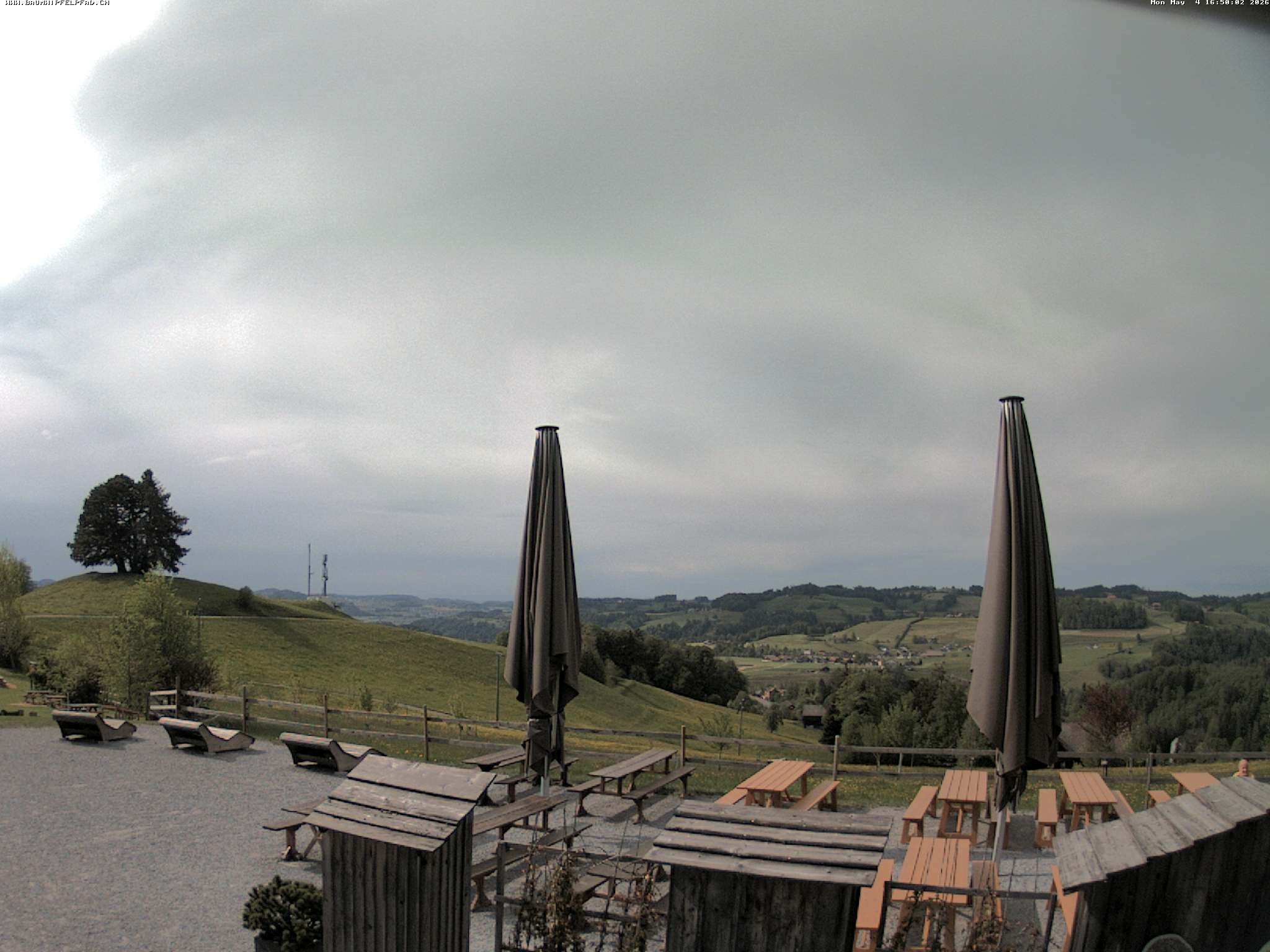 Archiv Foto Webcam Baumwipfelpfad Neckertal