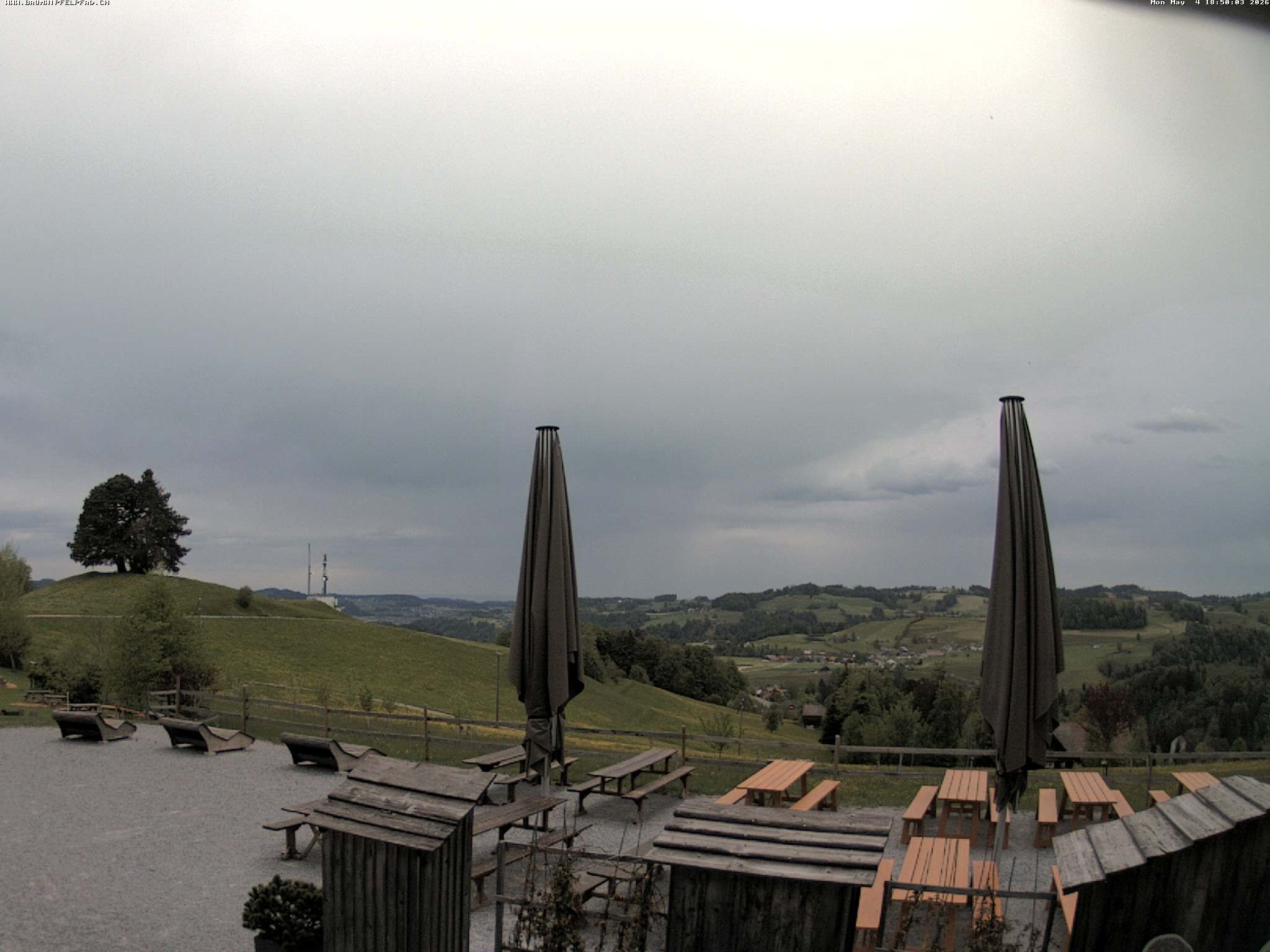 Archiv Foto Webcam Baumwipfelpfad Neckertal