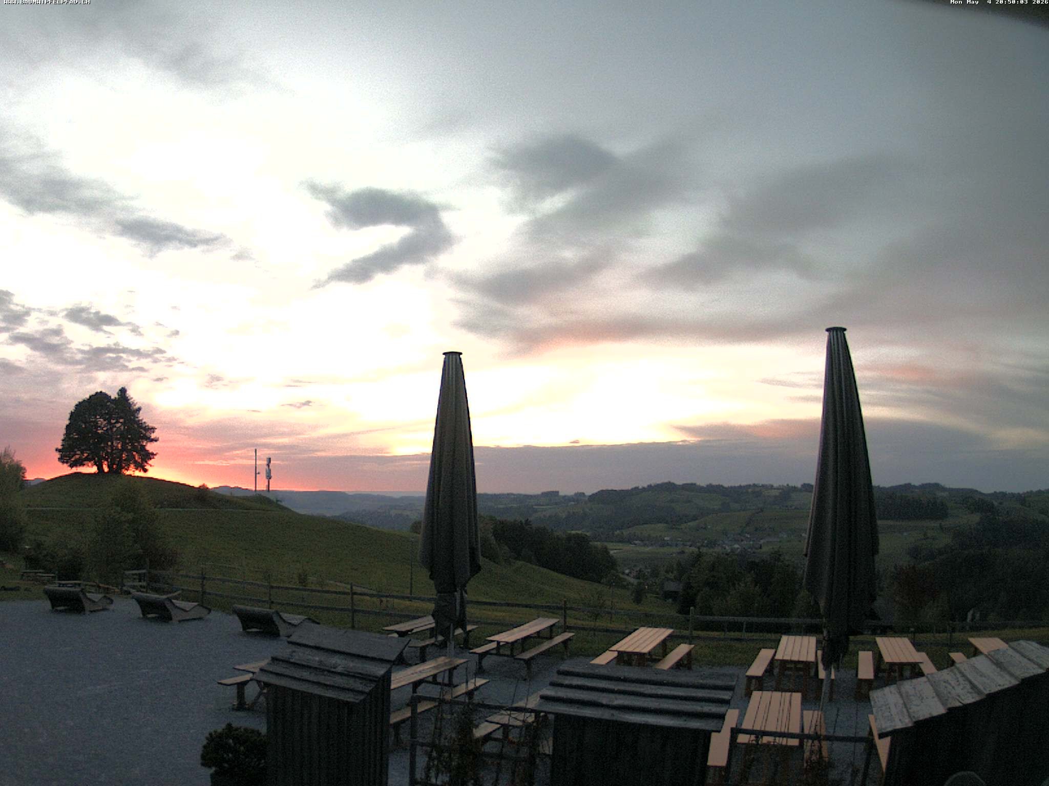 Archiv Foto Webcam Baumwipfelpfad Neckertal