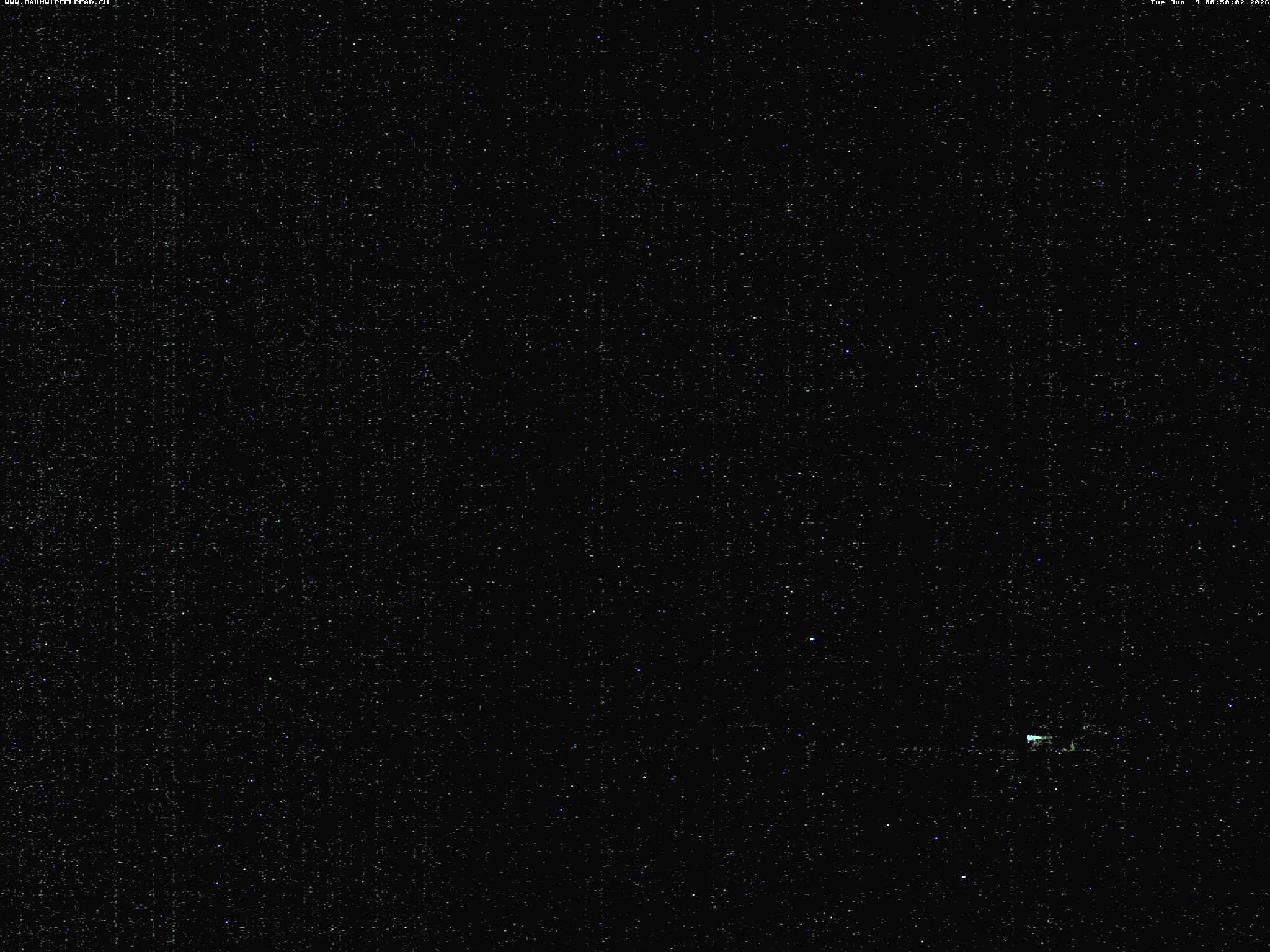 Archiv Foto Webcam Baumwipfelpfad Neckertal