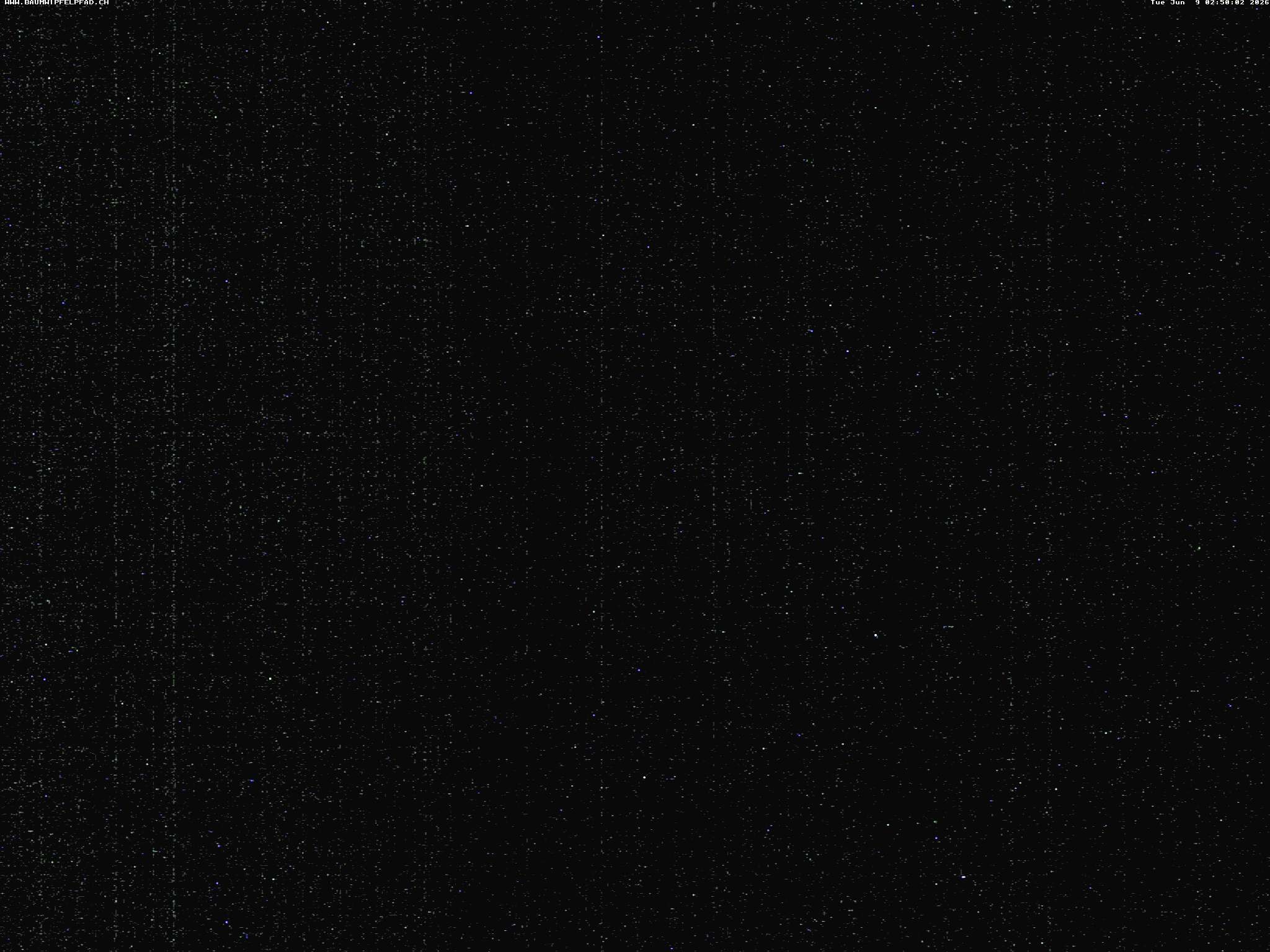 Archiv Foto Webcam Baumwipfelpfad Neckertal