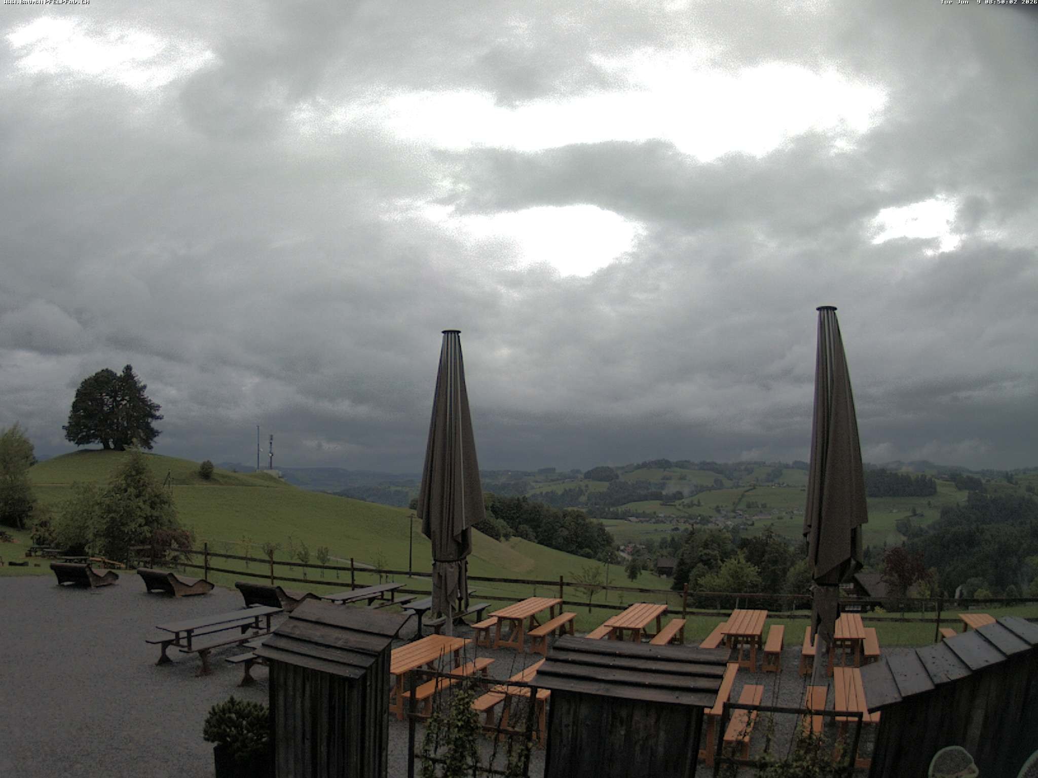 Archiv Foto Webcam Baumwipfelpfad Neckertal