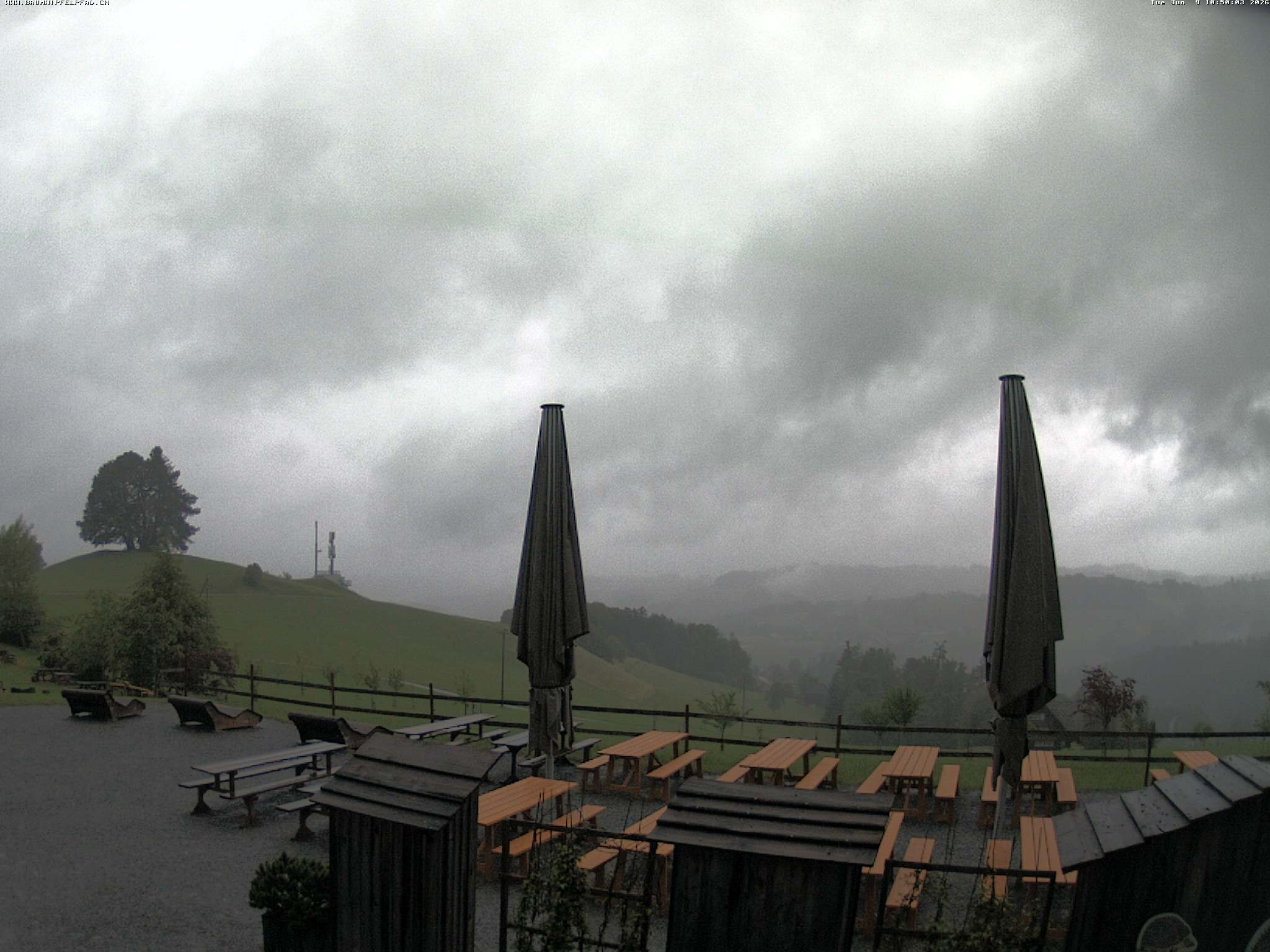 Archiv Foto Webcam Baumwipfelpfad Neckertal