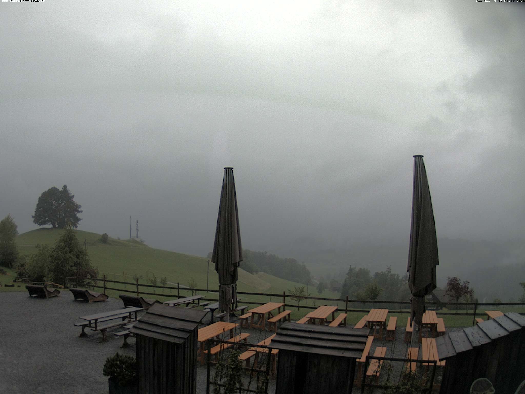 Archiv Foto Webcam Baumwipfelpfad Neckertal