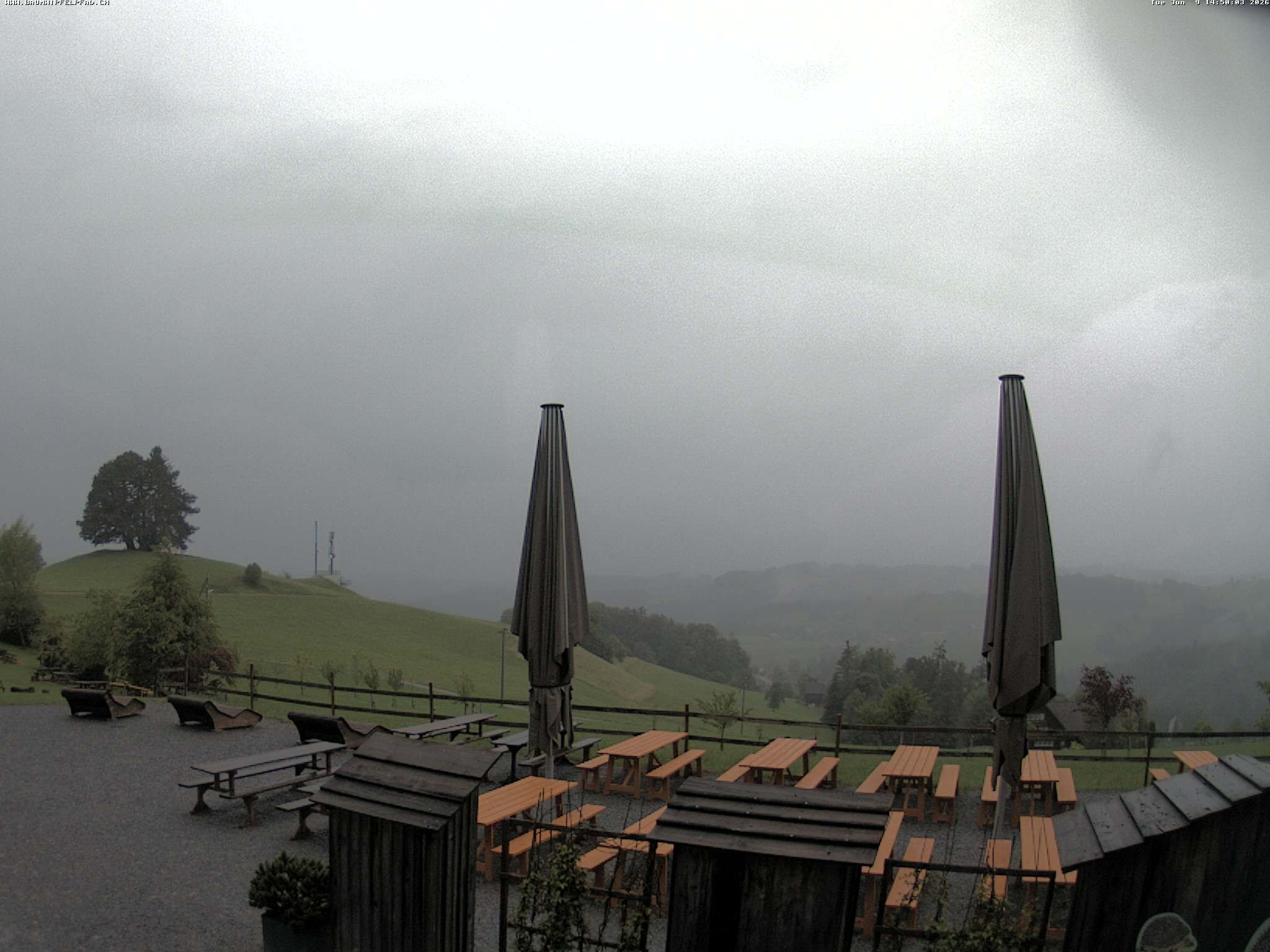 Archiv Foto Webcam Baumwipfelpfad Neckertal