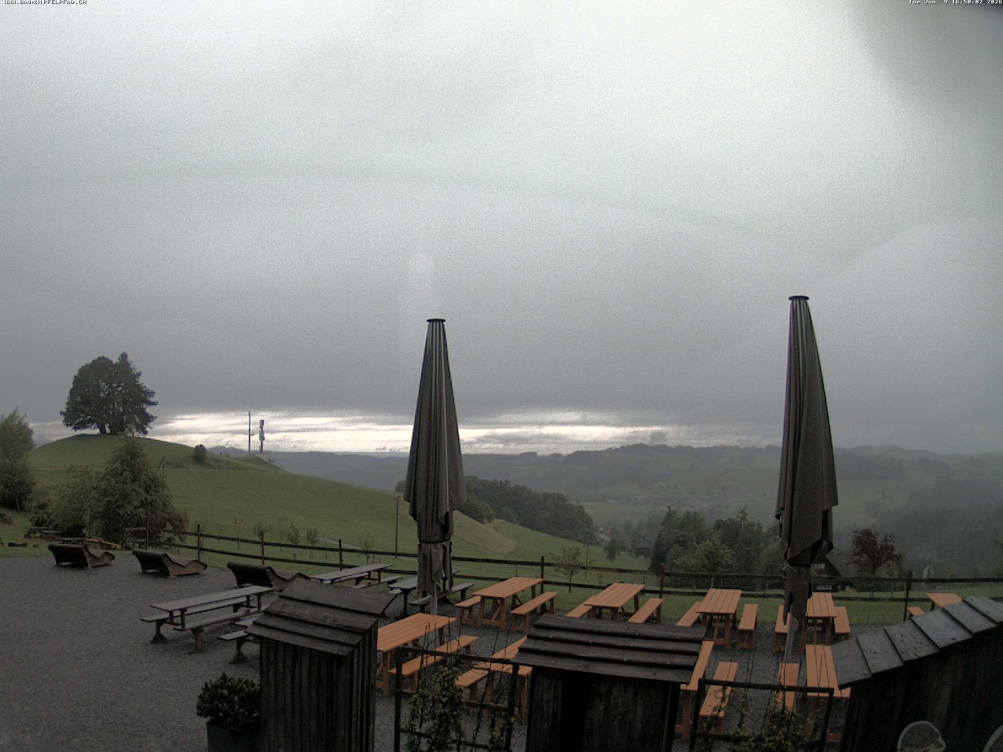 Archiv Foto Webcam Baumwipfelpfad Neckertal