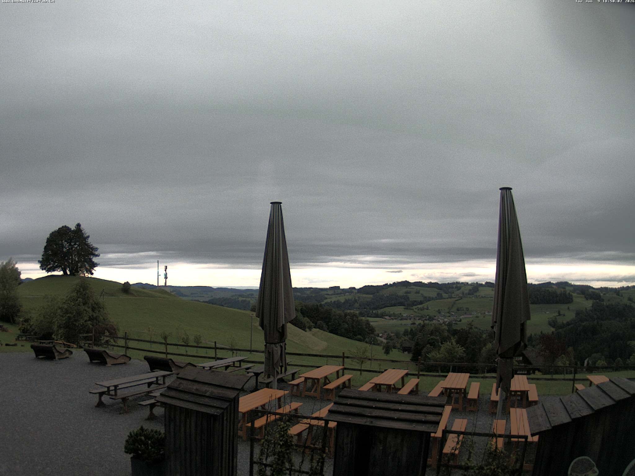 Archiv Foto Webcam Baumwipfelpfad Neckertal