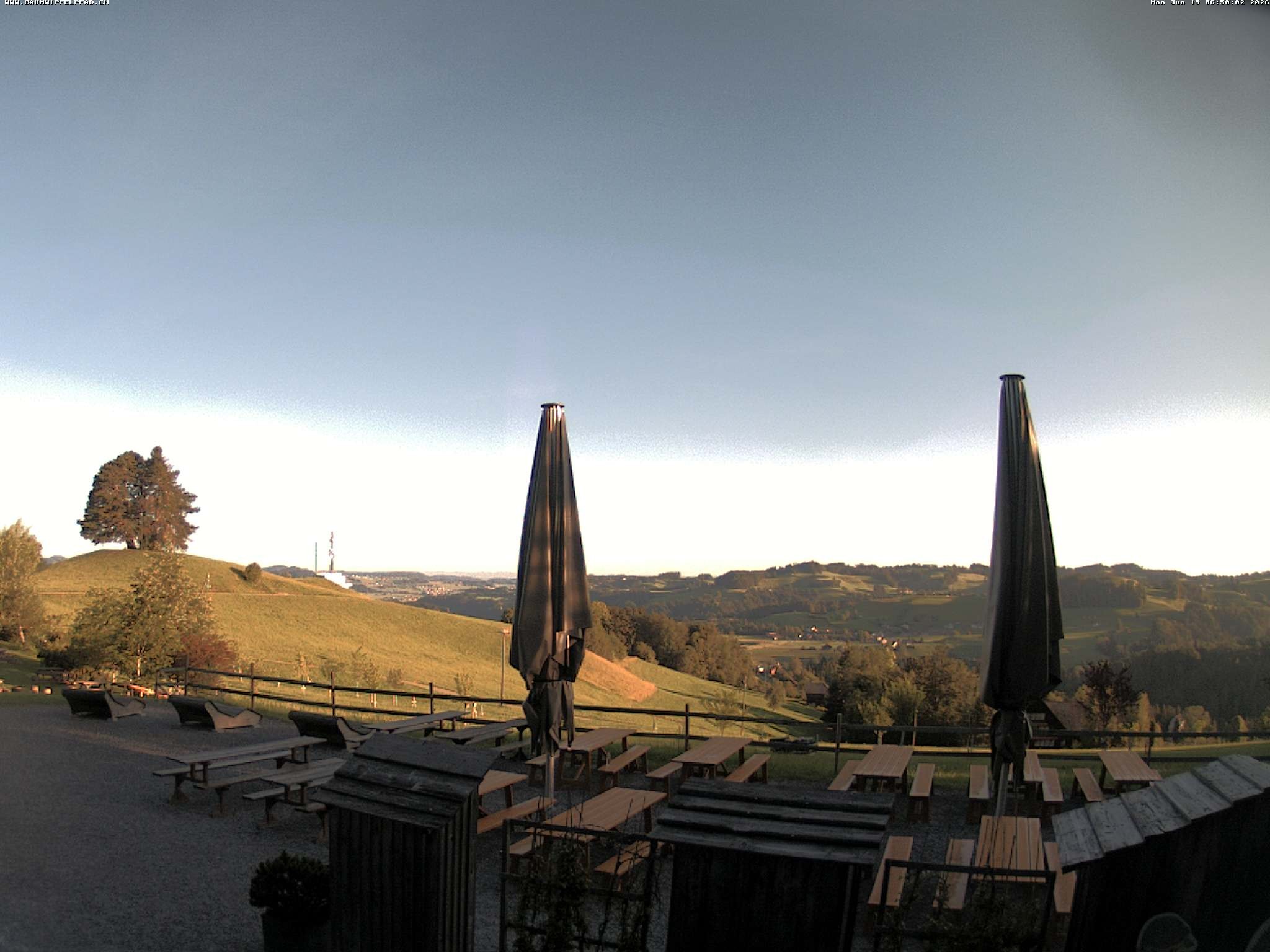 Archived image Webcam Treetop Walk Neckertal