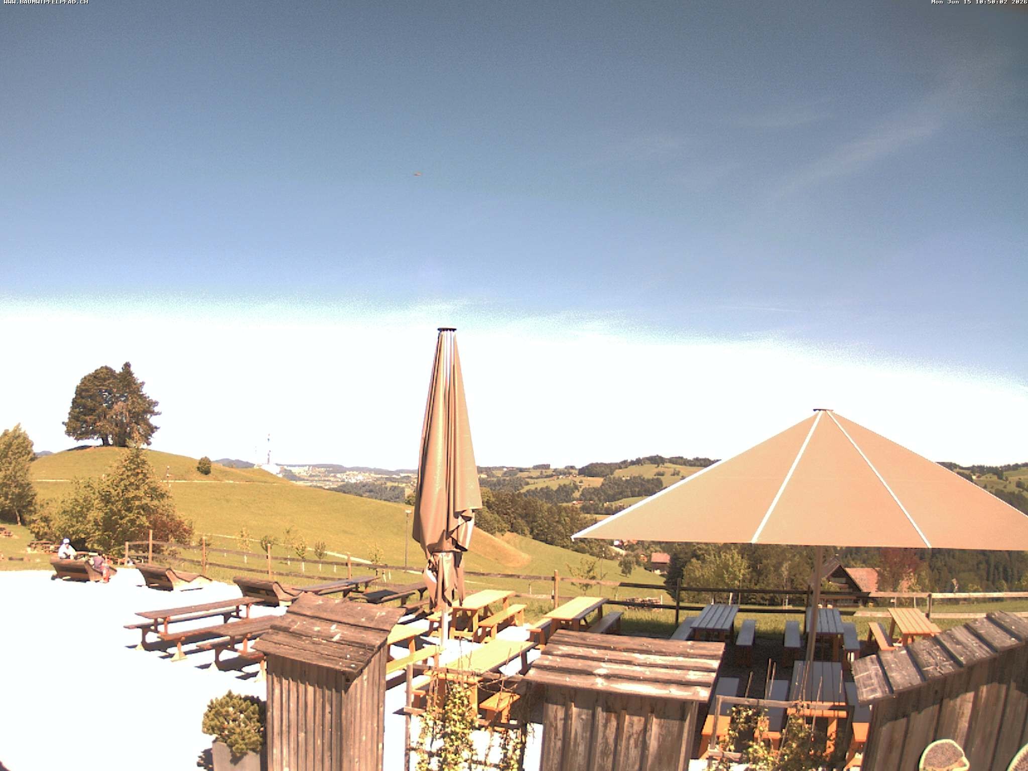 Archived image Webcam Treetop Walk Neckertal