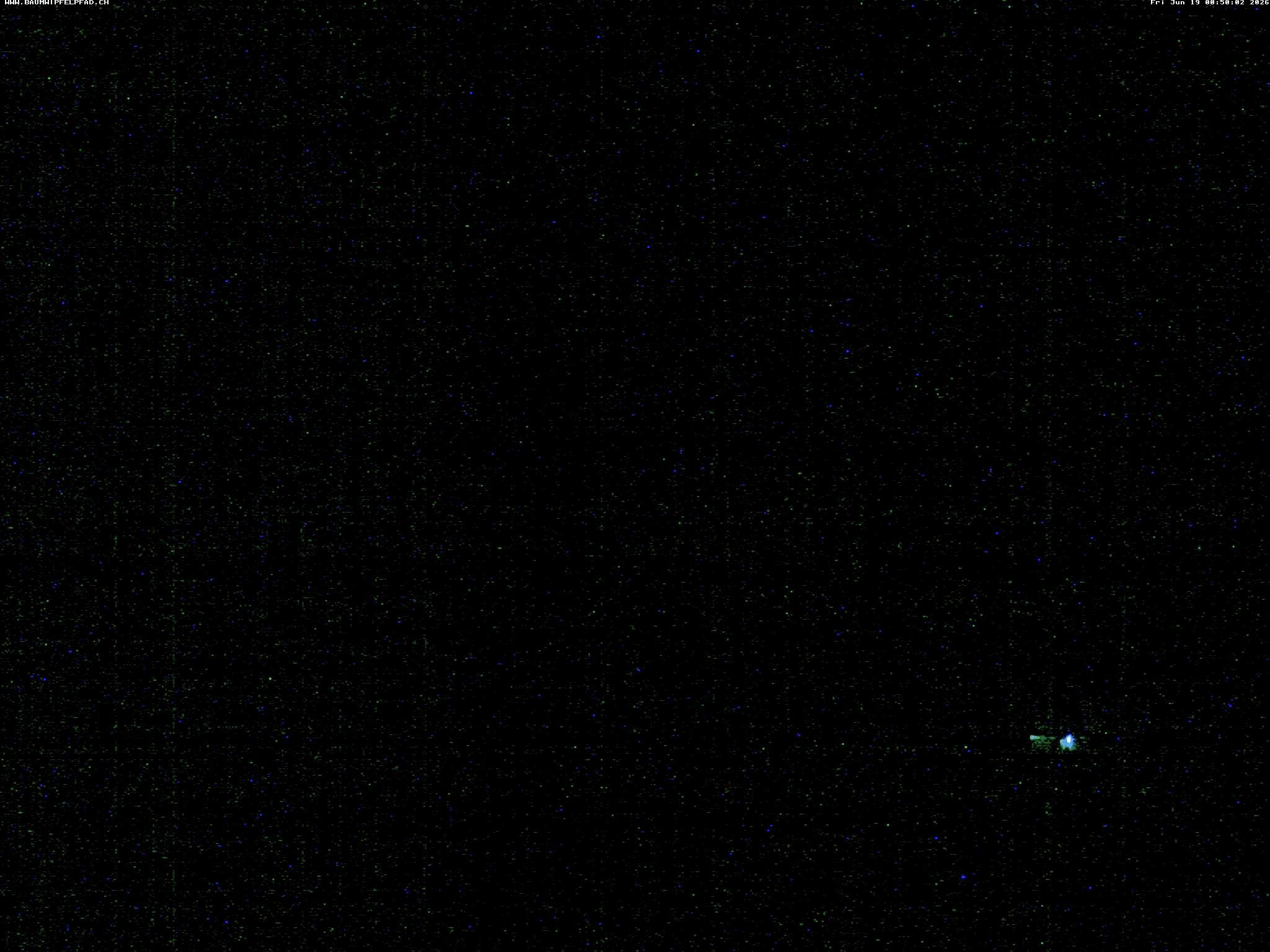 Archiv Foto Webcam Baumwipfelpfad Neckertal