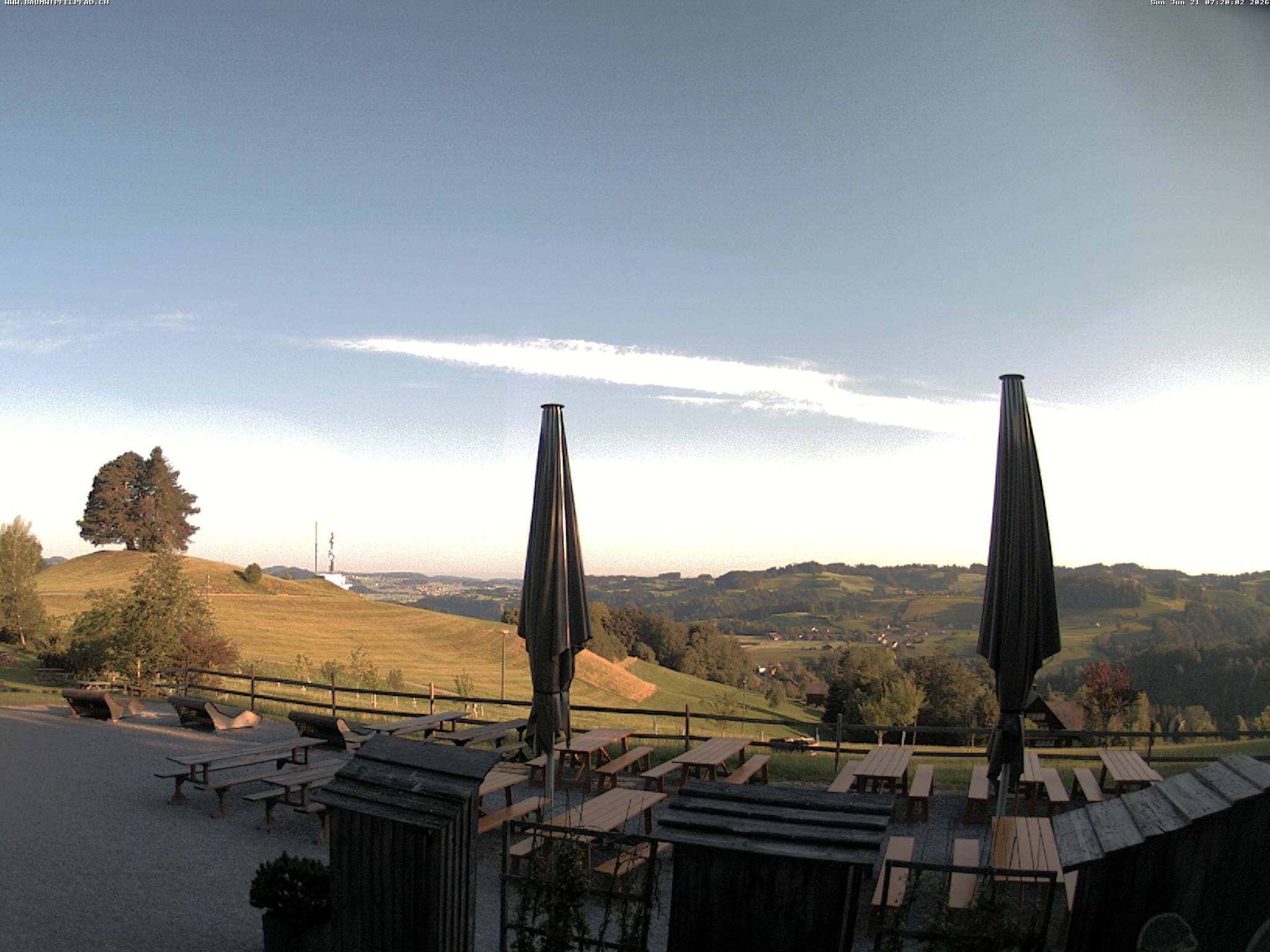 Archived image Webcam Treetop Walk Neckertal