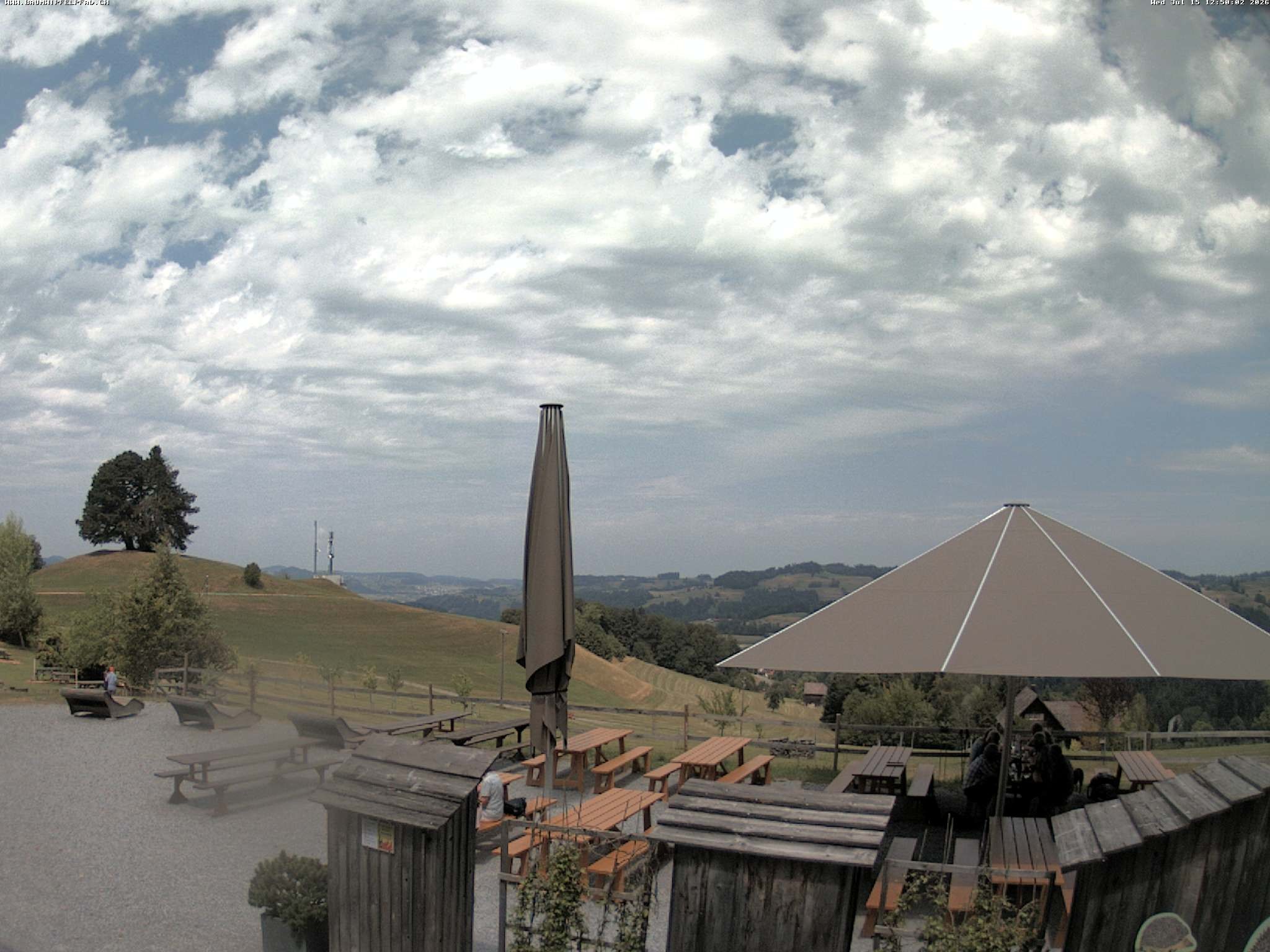 Archived image Webcam Treetop Walk Neckertal
