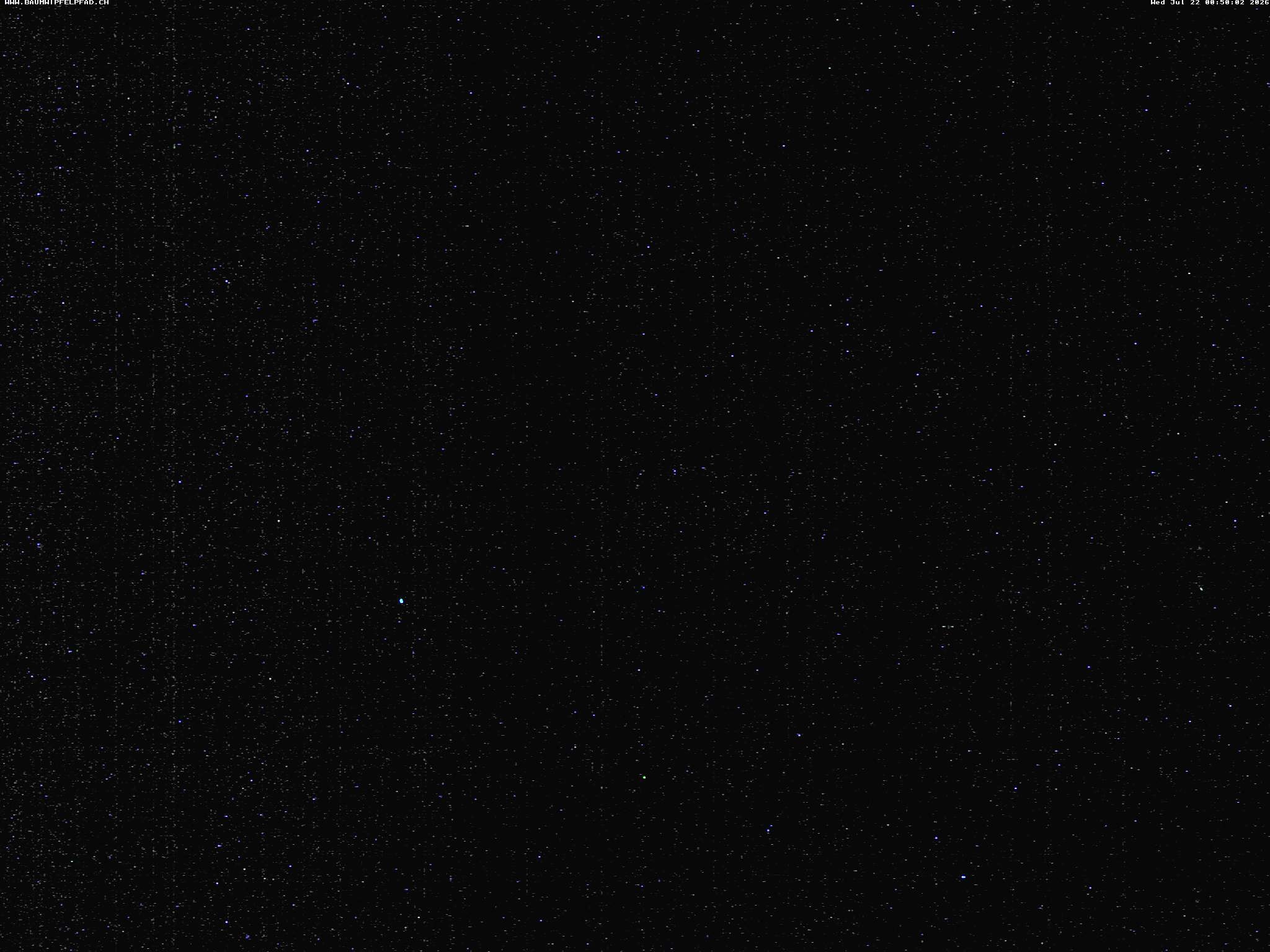 Archiv Foto Webcam Baumwipfelpfad Neckertal