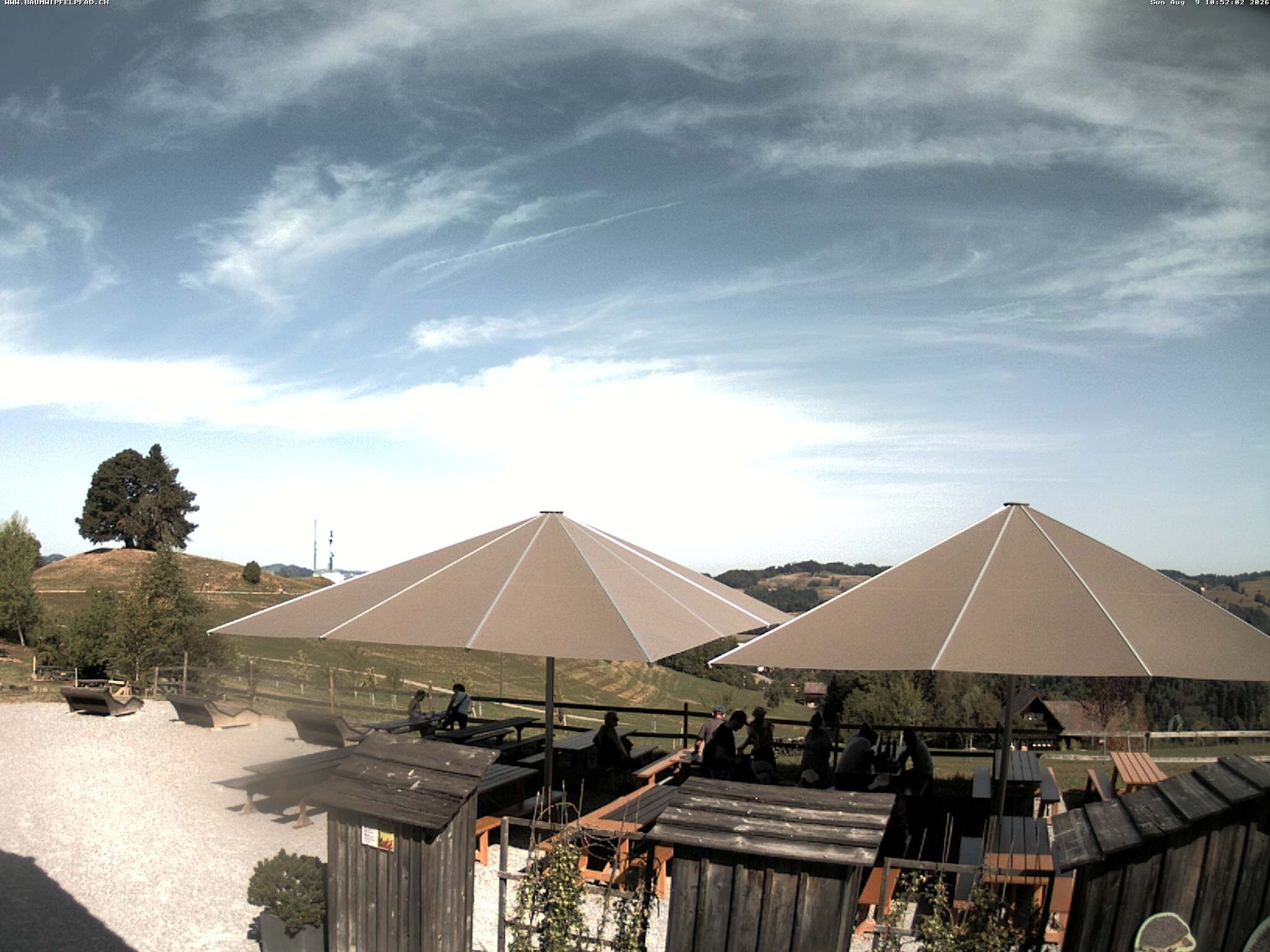 Archived image Webcam Treetop Walk Neckertal