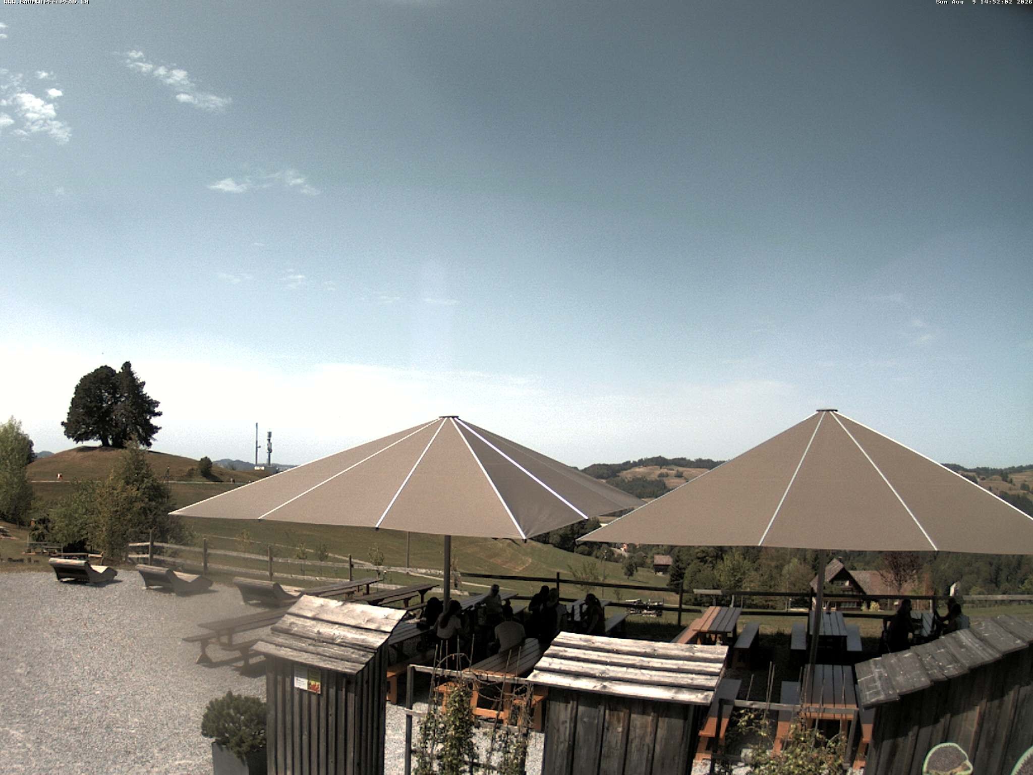Archived image Webcam Treetop Walk Neckertal