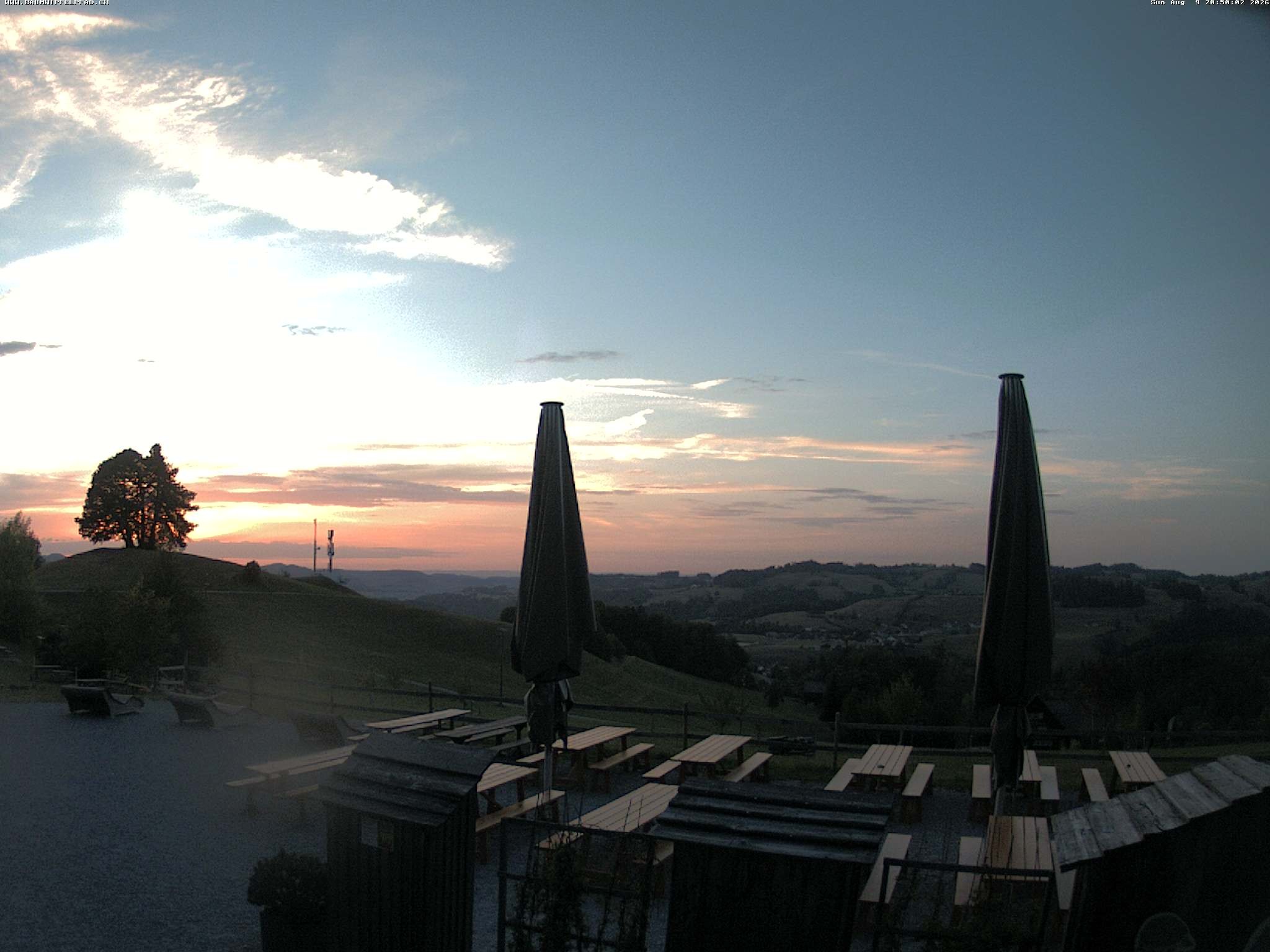 Archived image Webcam Treetop Walk Neckertal