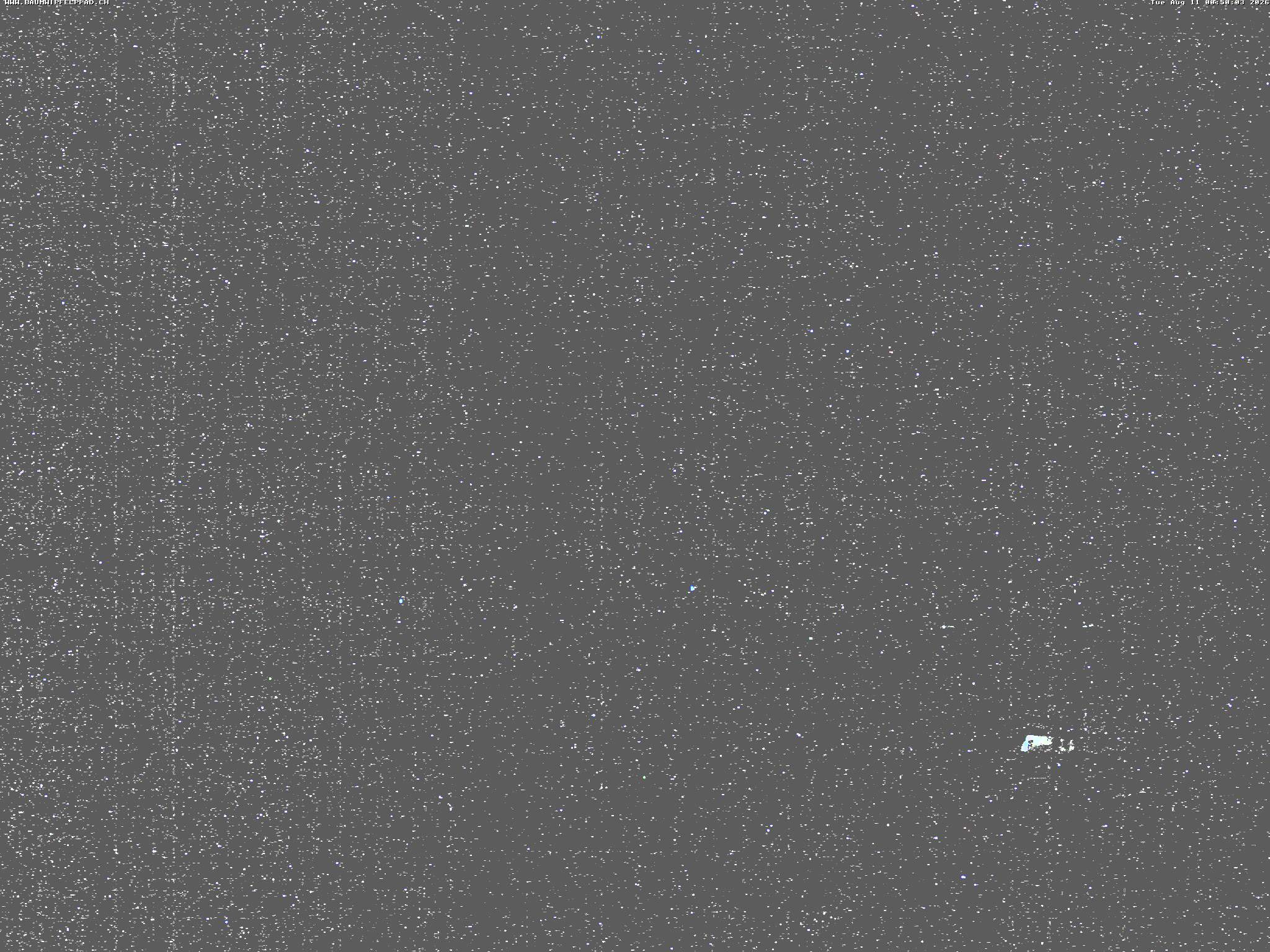 Archiv Foto Webcam Baumwipfelpfad Neckertal