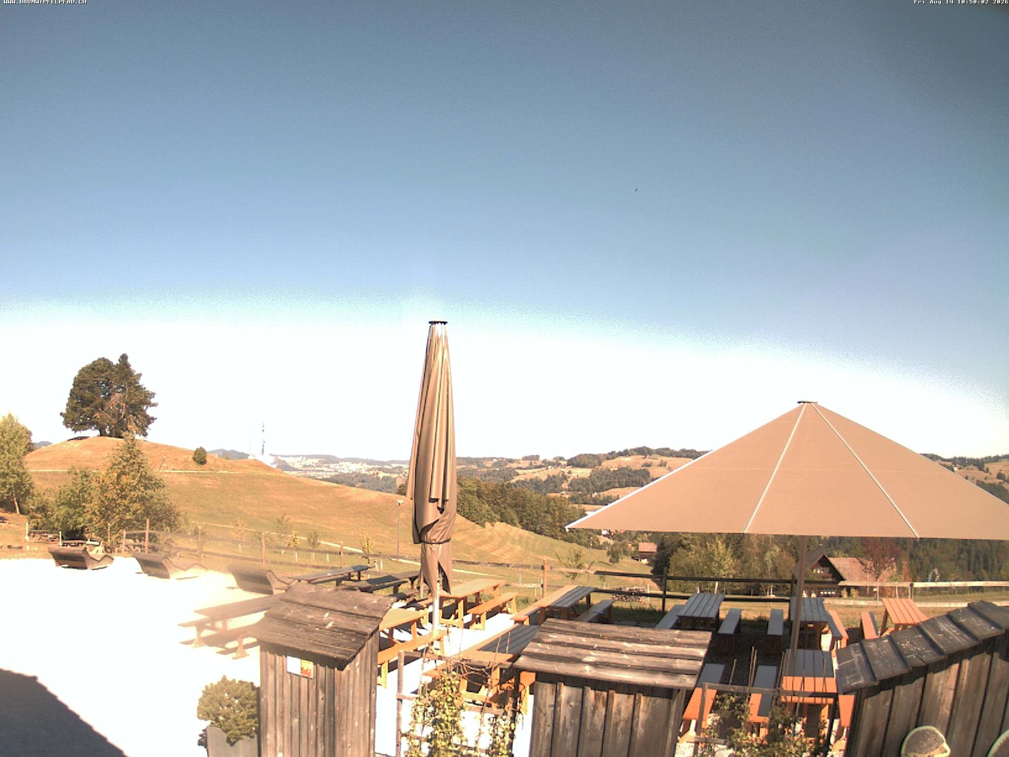 Archived image Webcam Treetop Walk Neckertal