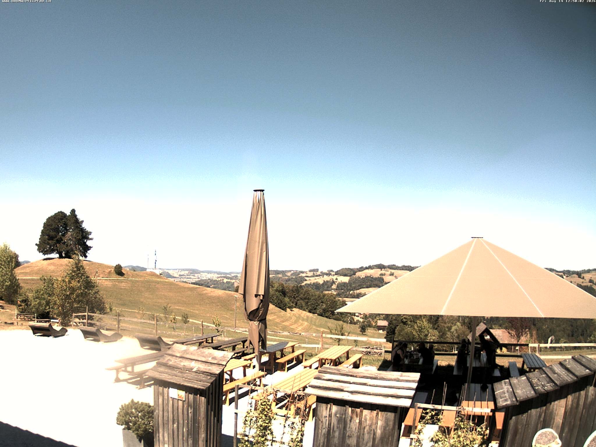 Archived image Webcam Treetop Walk Neckertal