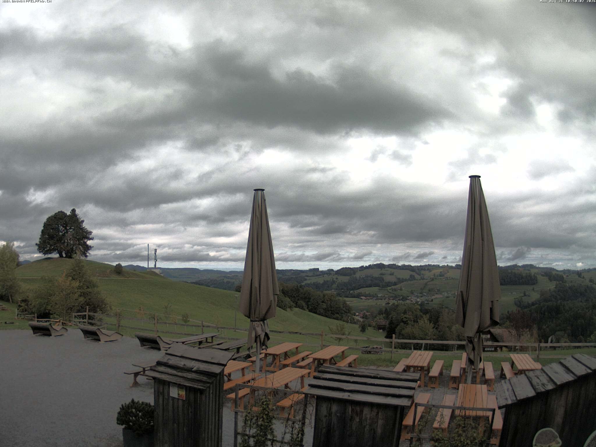 Archiv Foto Webcam Baumwipfelpfad Neckertal