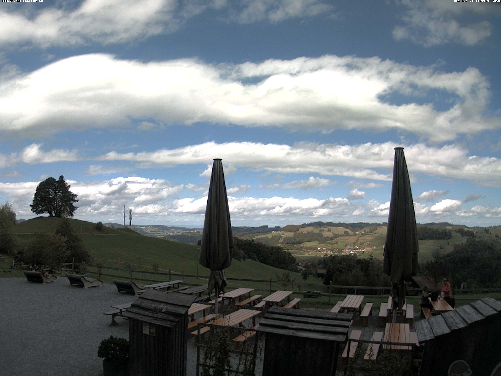 Archiv Foto Webcam Baumwipfelpfad Neckertal