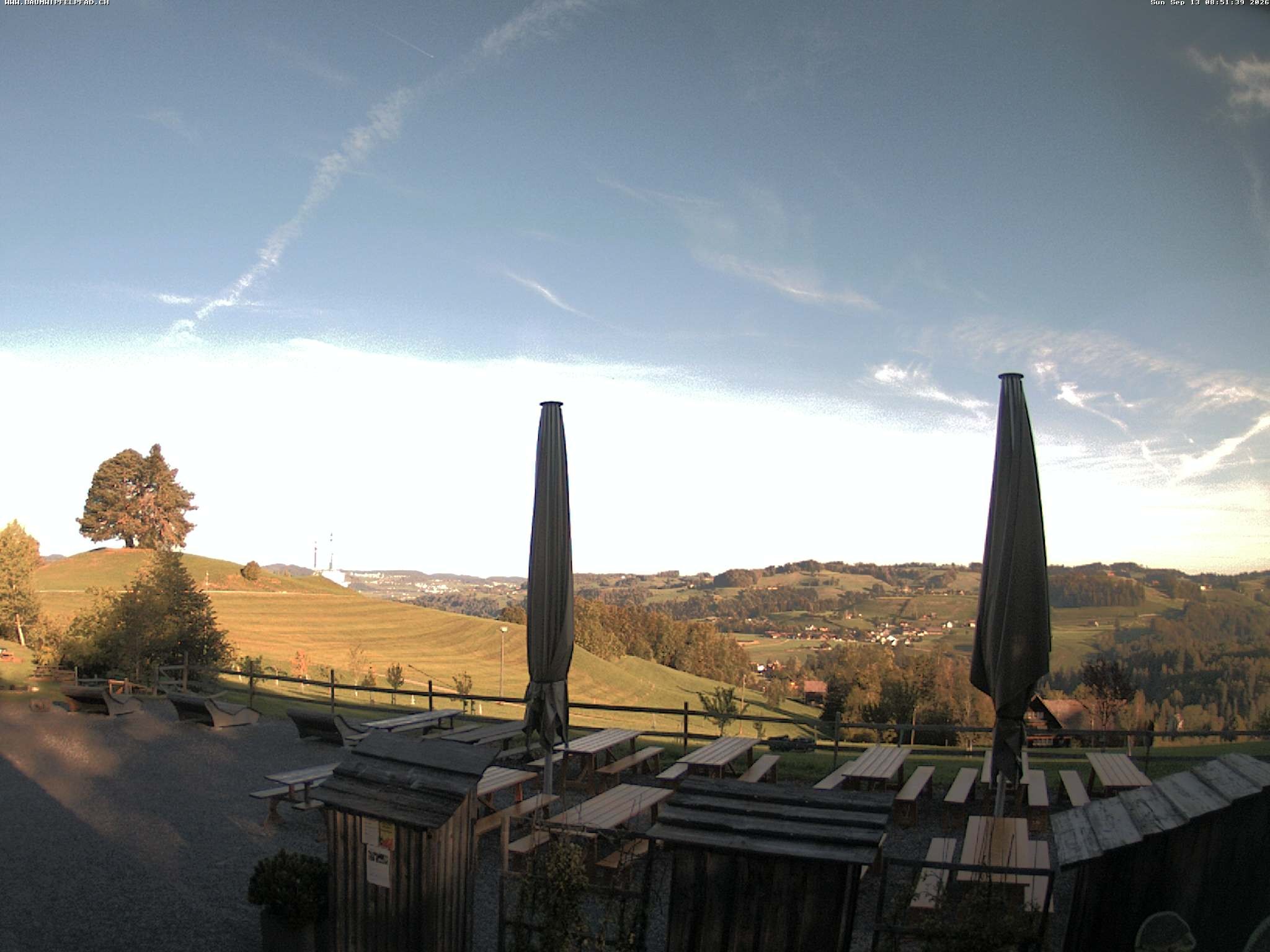 Archived image Webcam Treetop Walk Neckertal