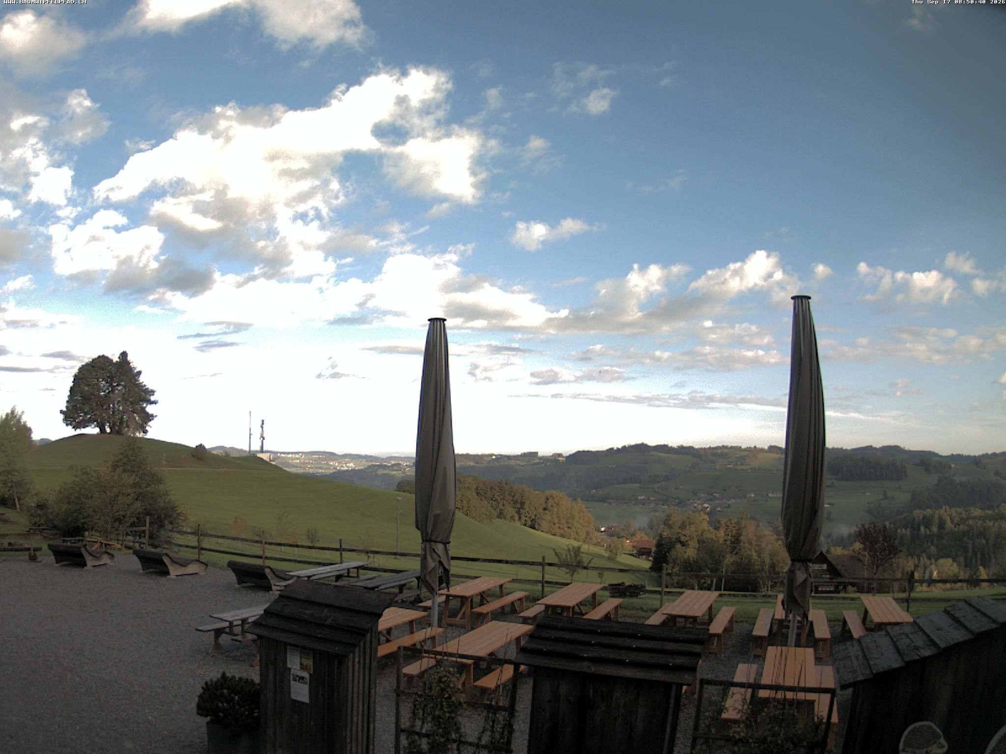 Archived image Webcam Treetop Walk Neckertal