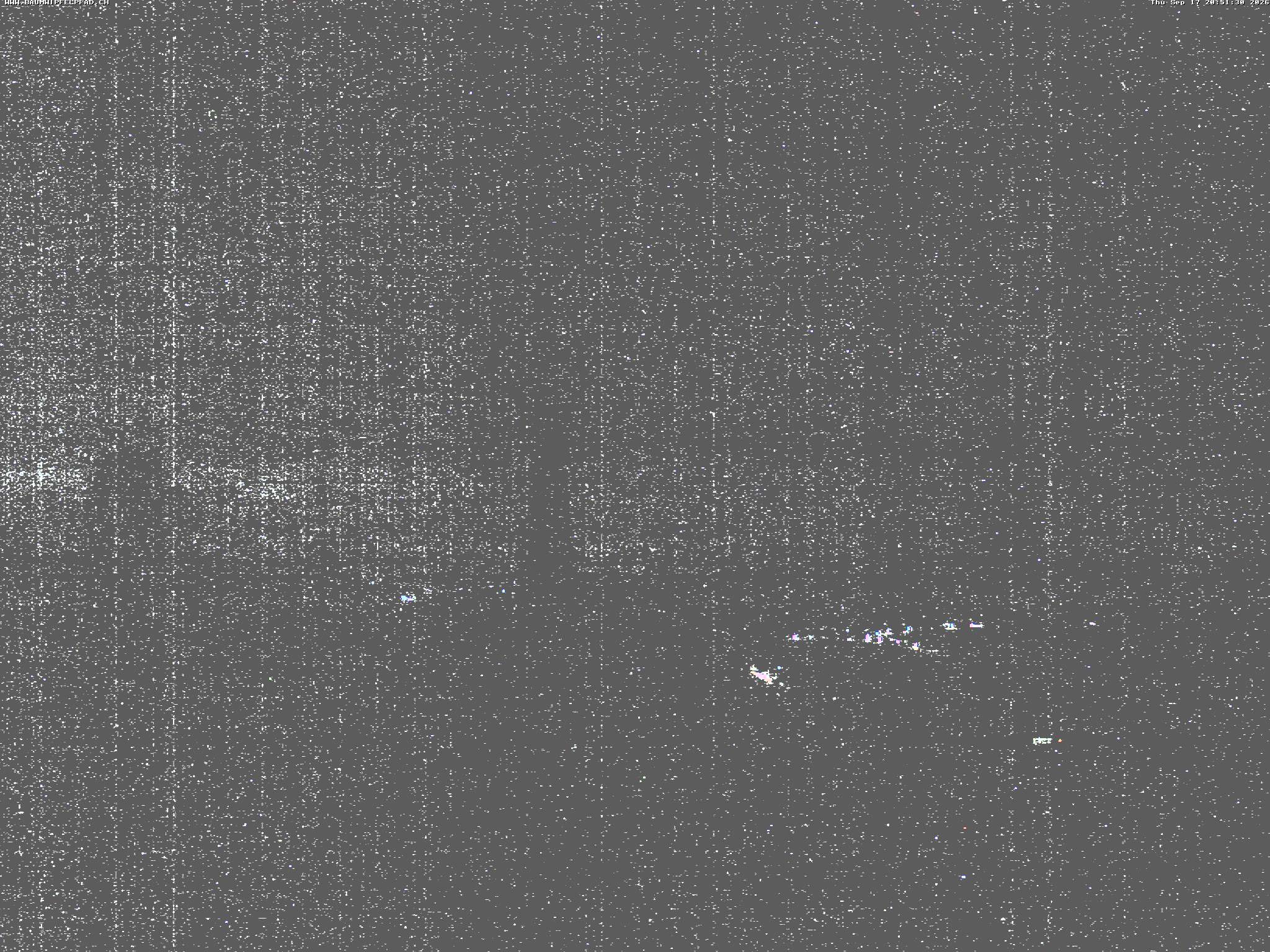 Archived image Webcam Treetop Walk Neckertal