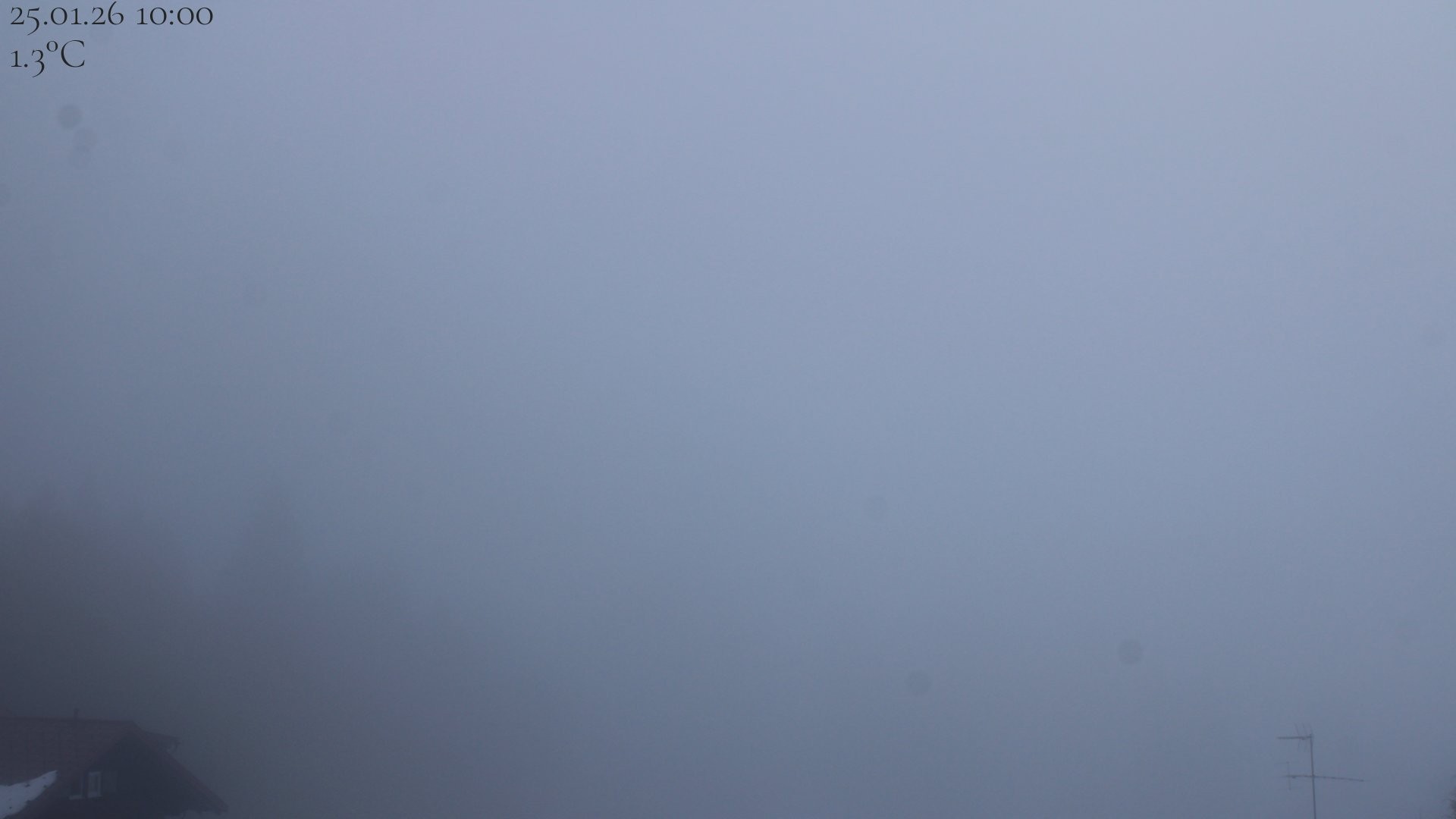 Archiv Foto Webcam Oberstaufen - Blick Hochgrat vom Biohotel Schratt